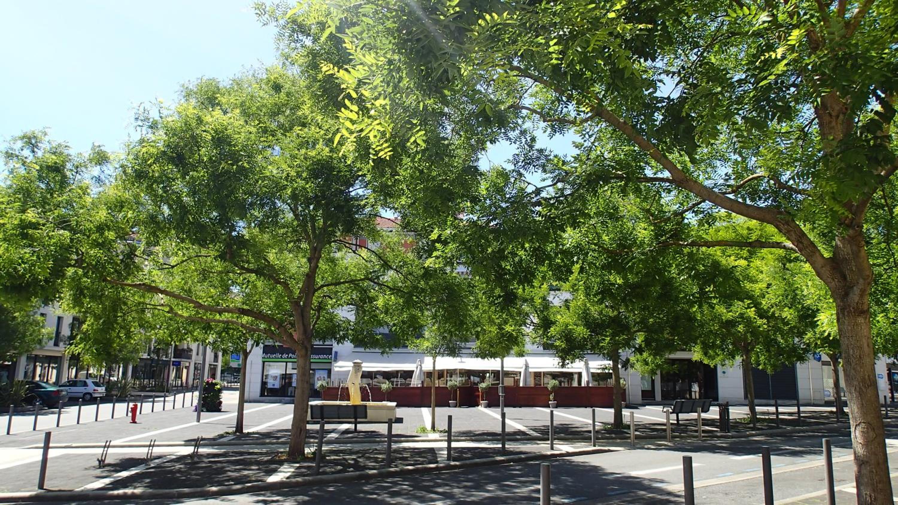 Clos Chantegrive