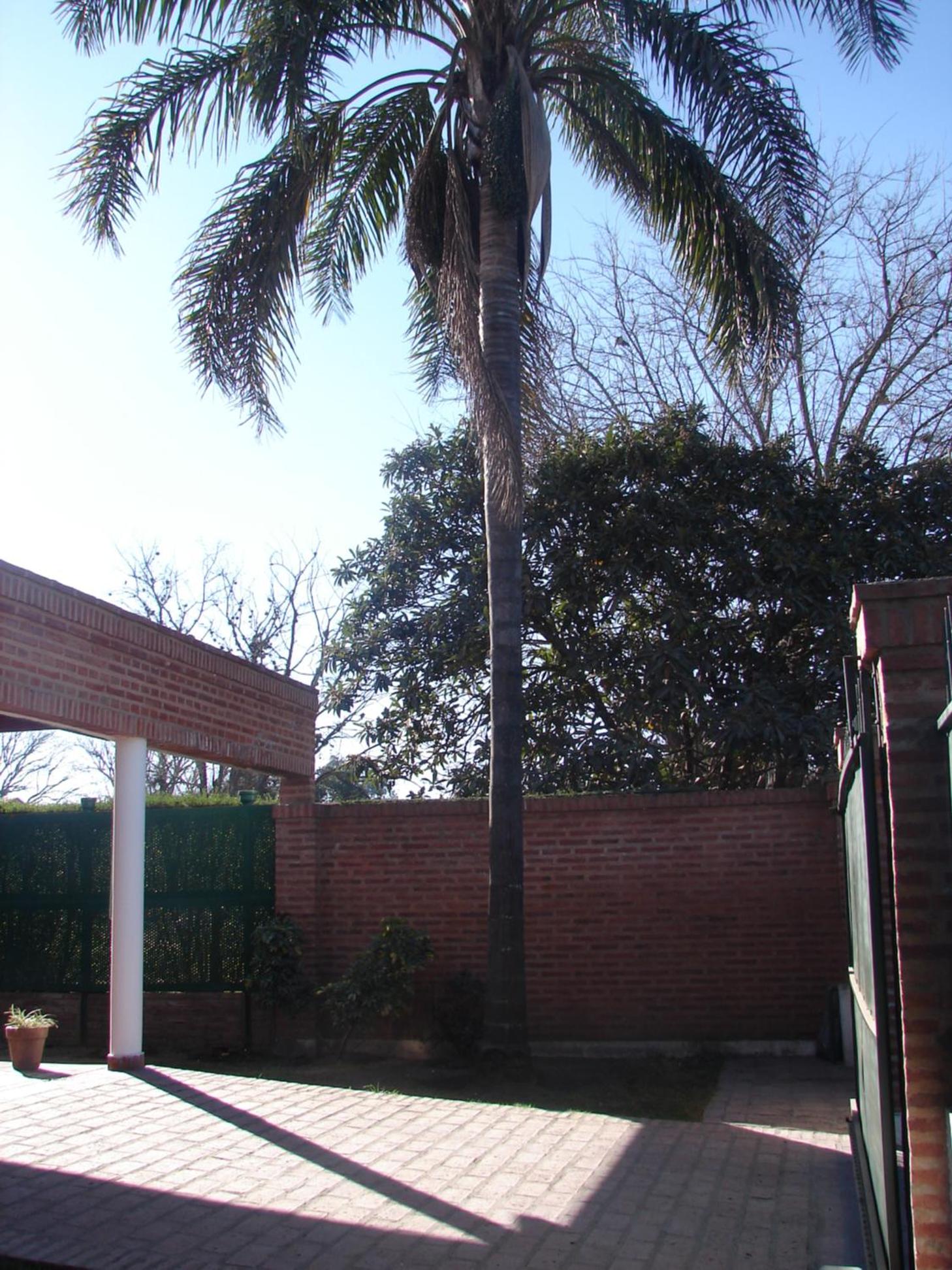 La Niña