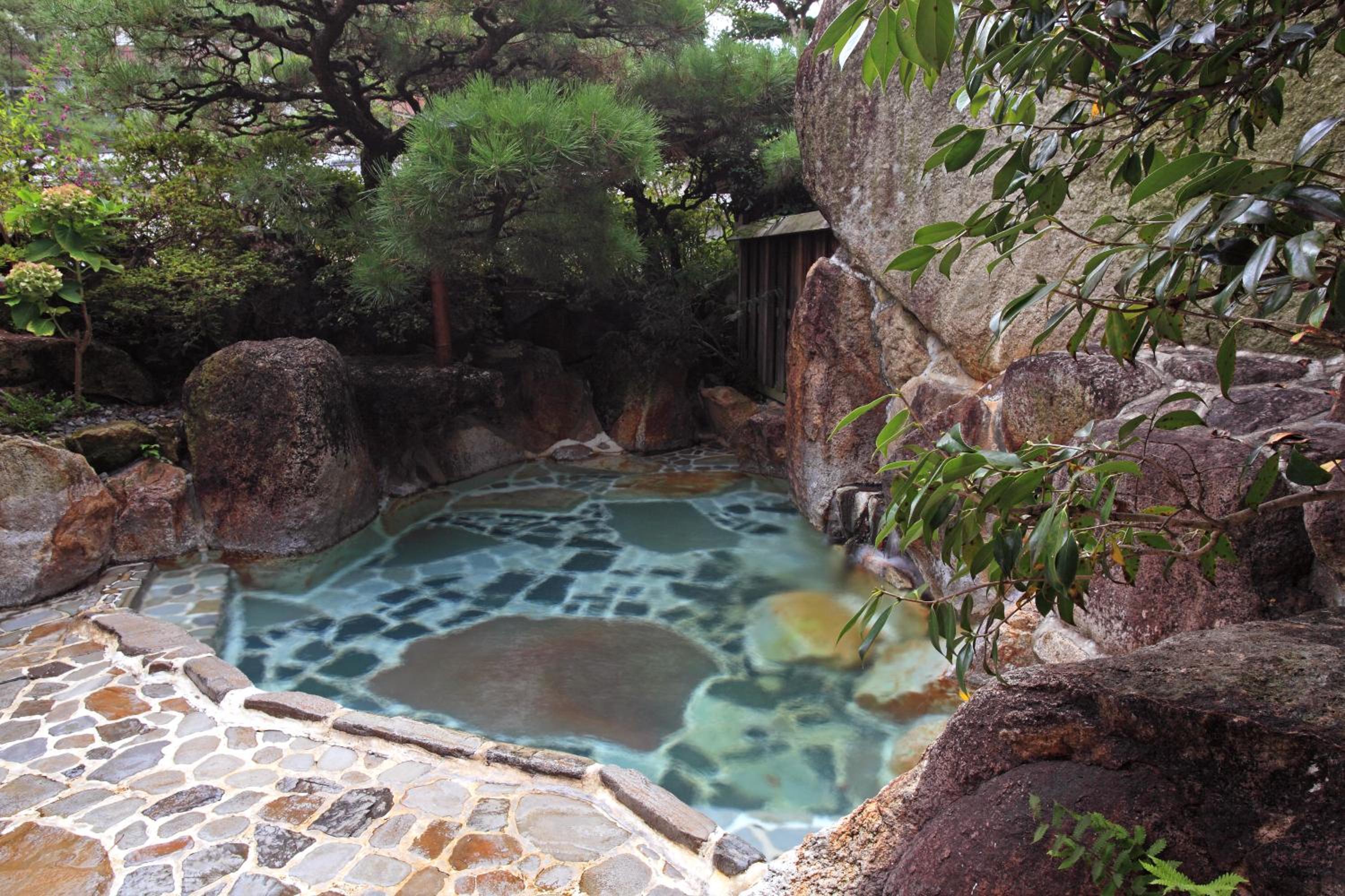 Ryokan Adumaya view 2