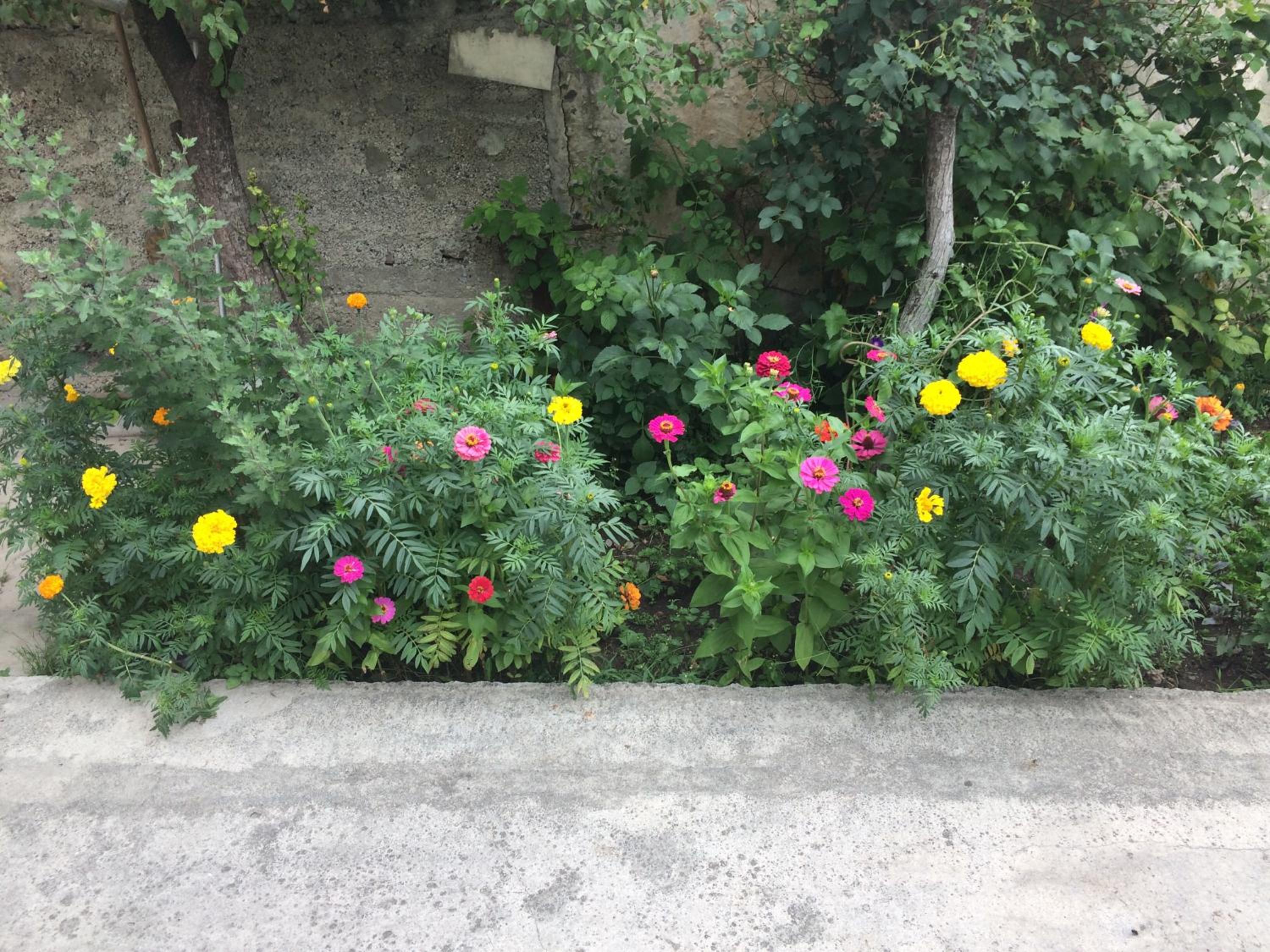 Gokor Guesthouse