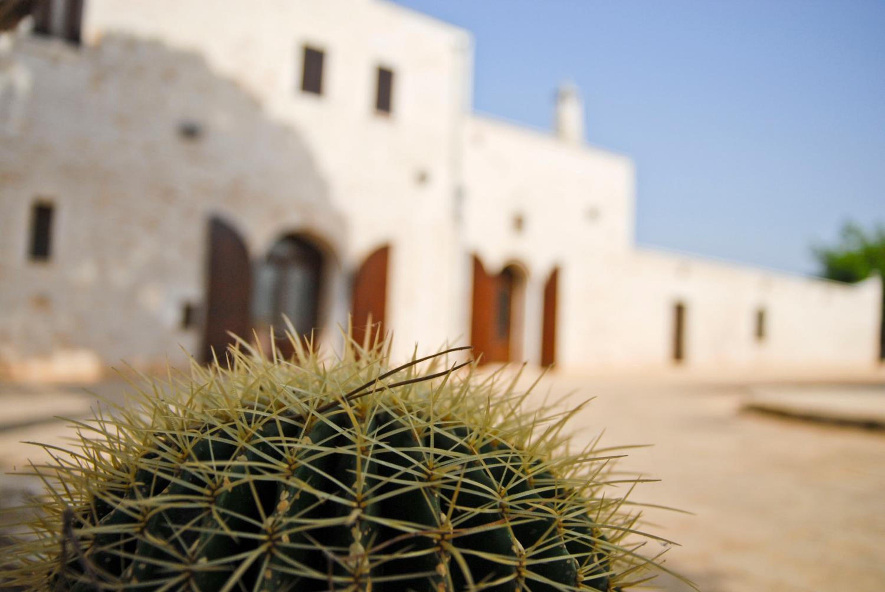 Hotel Masseria Valente - Image 1