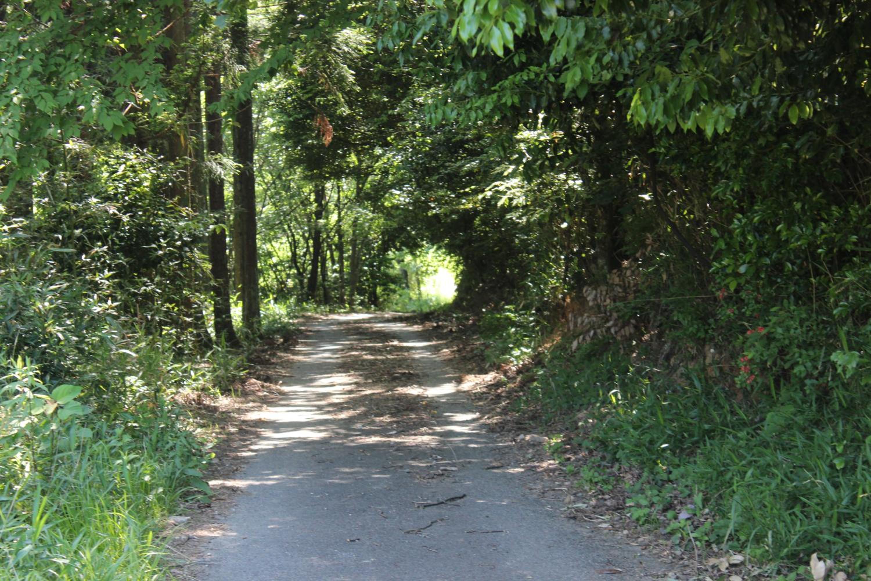Photo 28