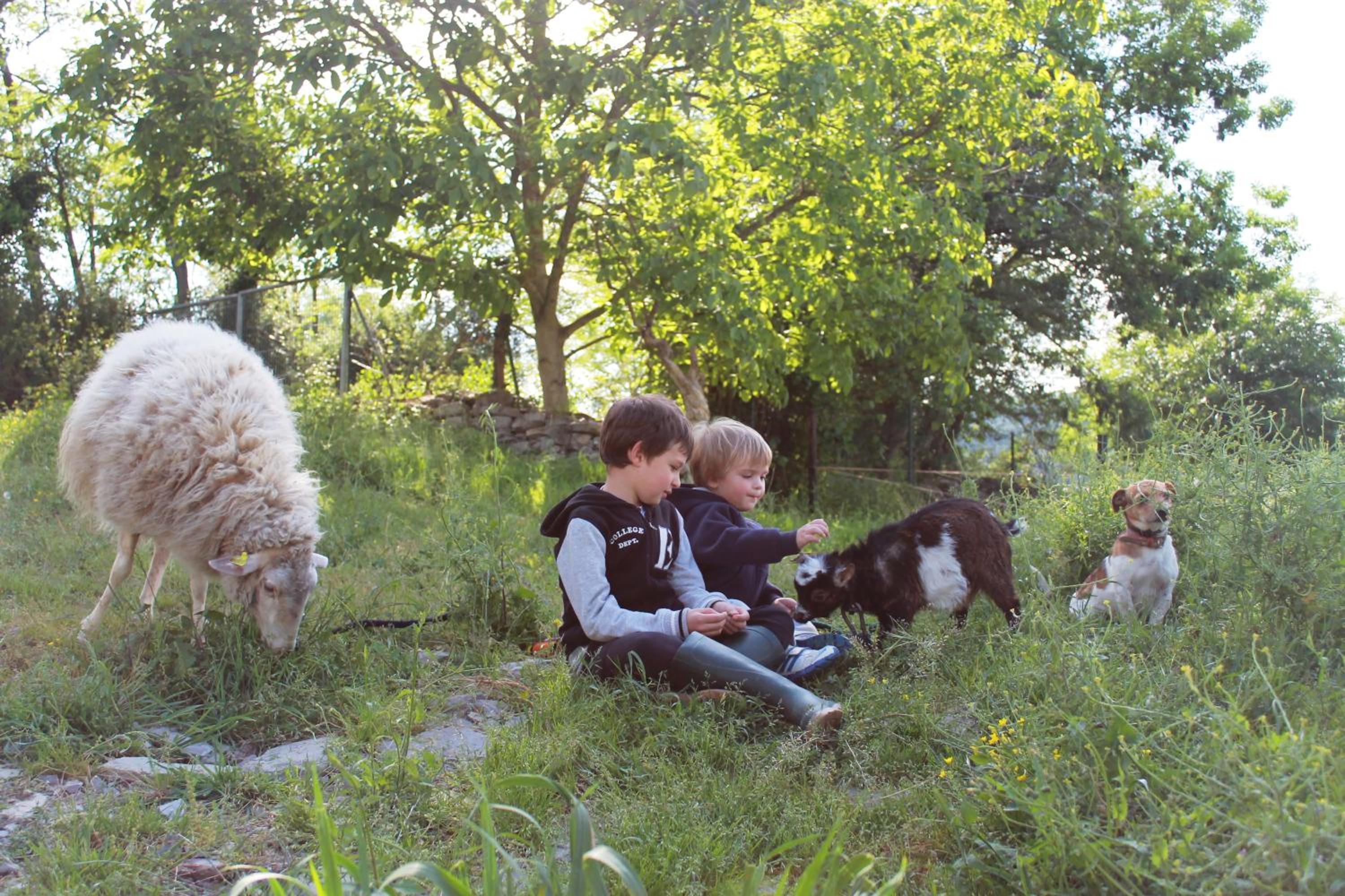 Photo 6