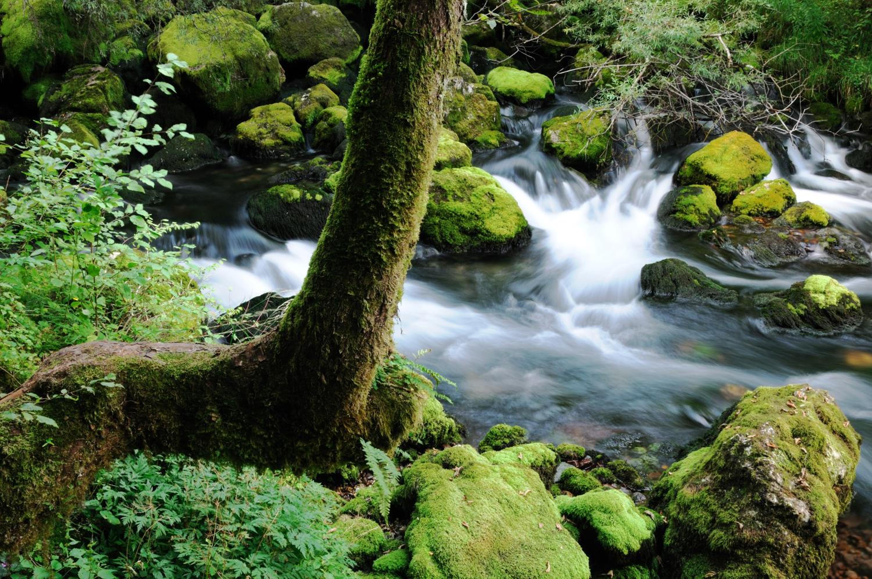 Photo 45