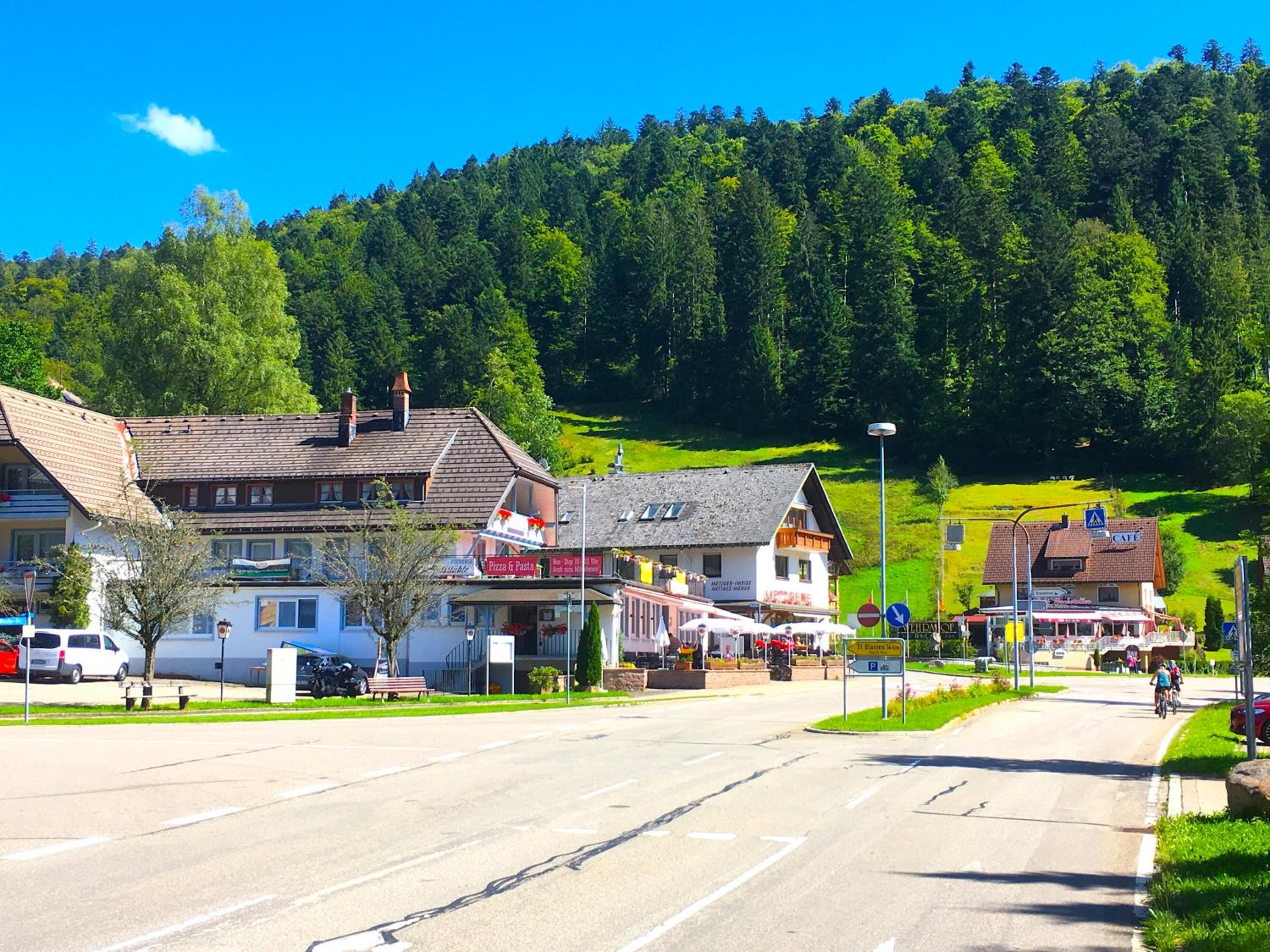 Die mit dem roten Baum view 5