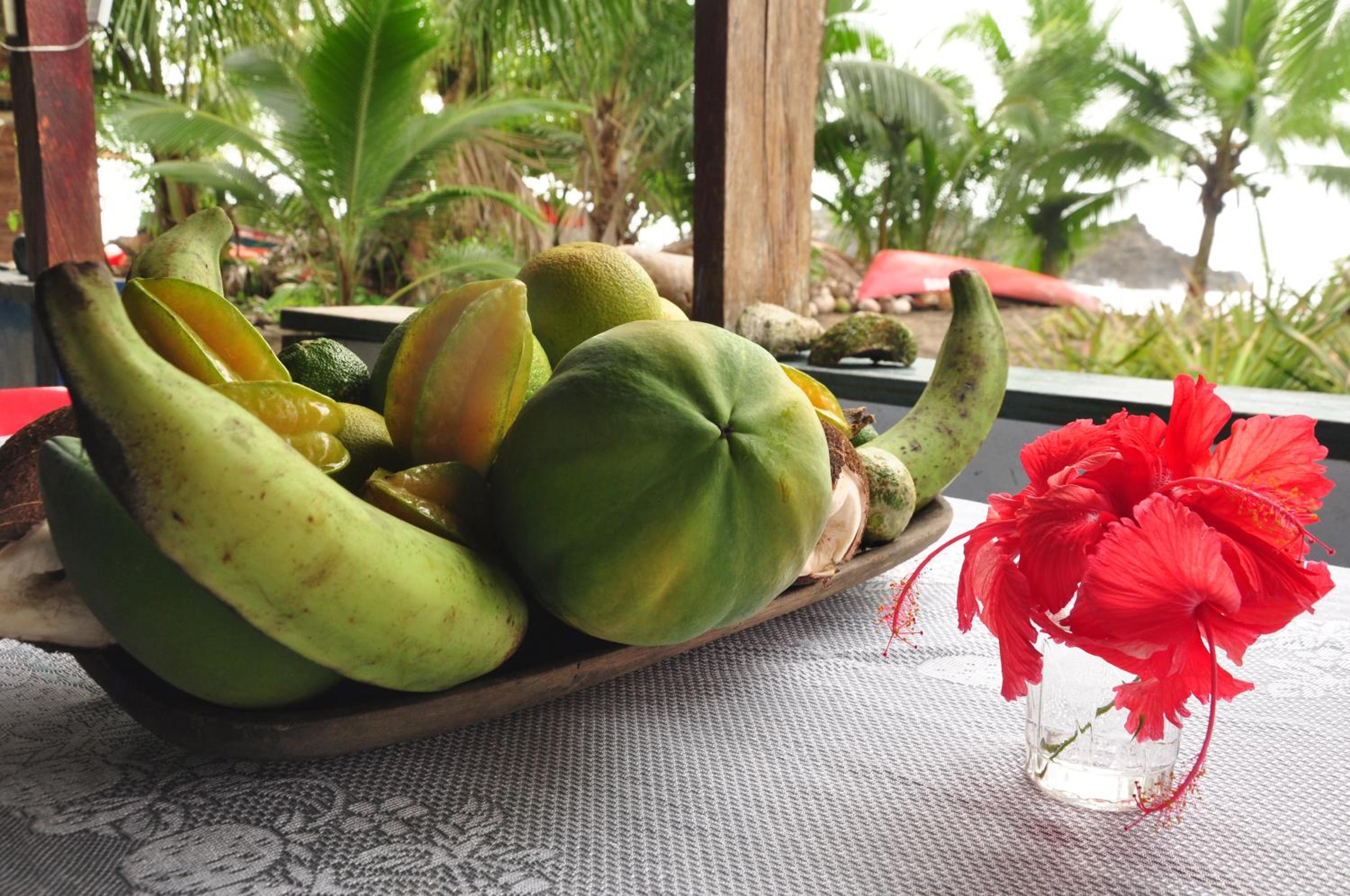 Ecolodge Mar y Rio