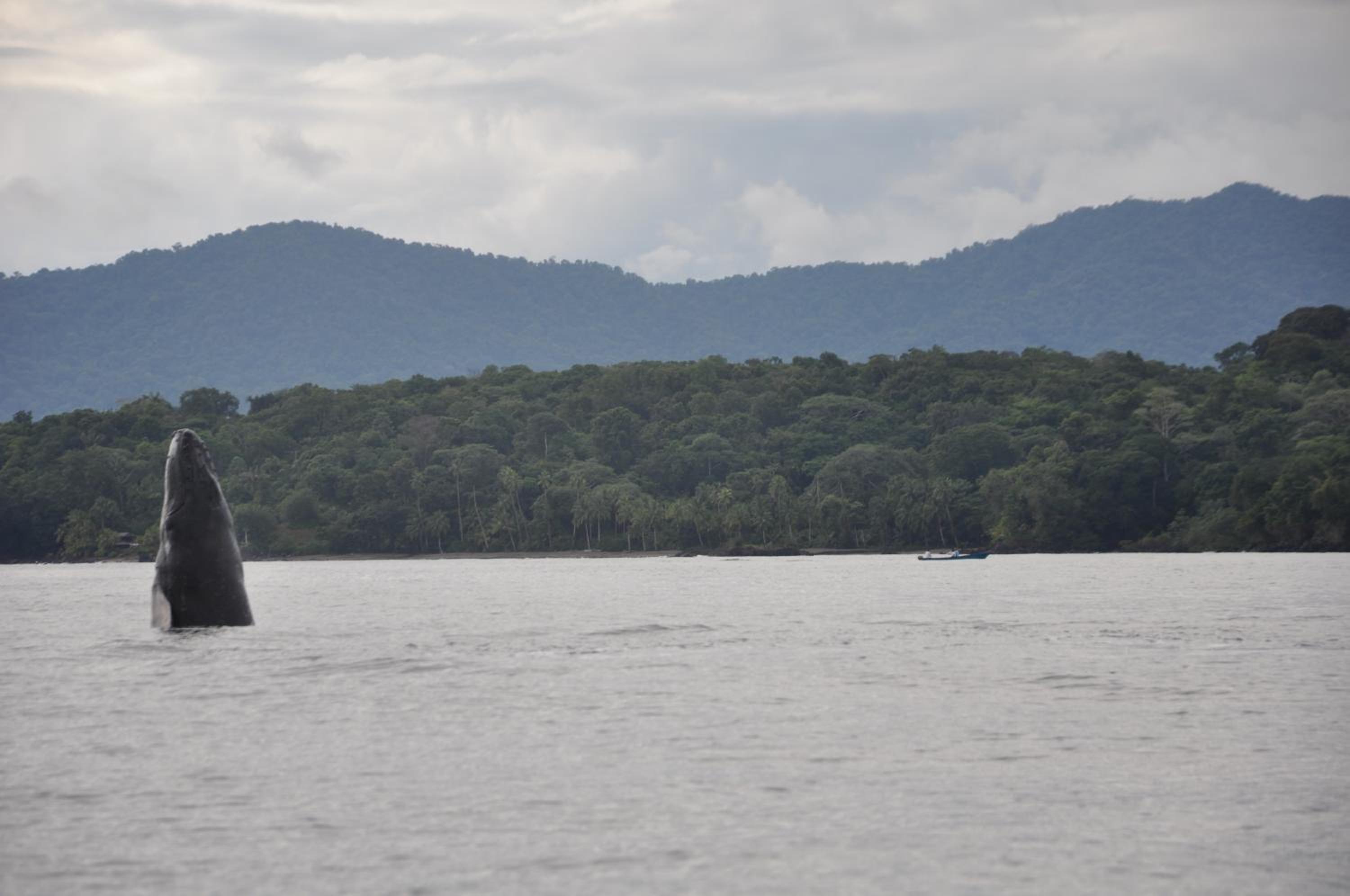 Ecolodge Mar y Rio