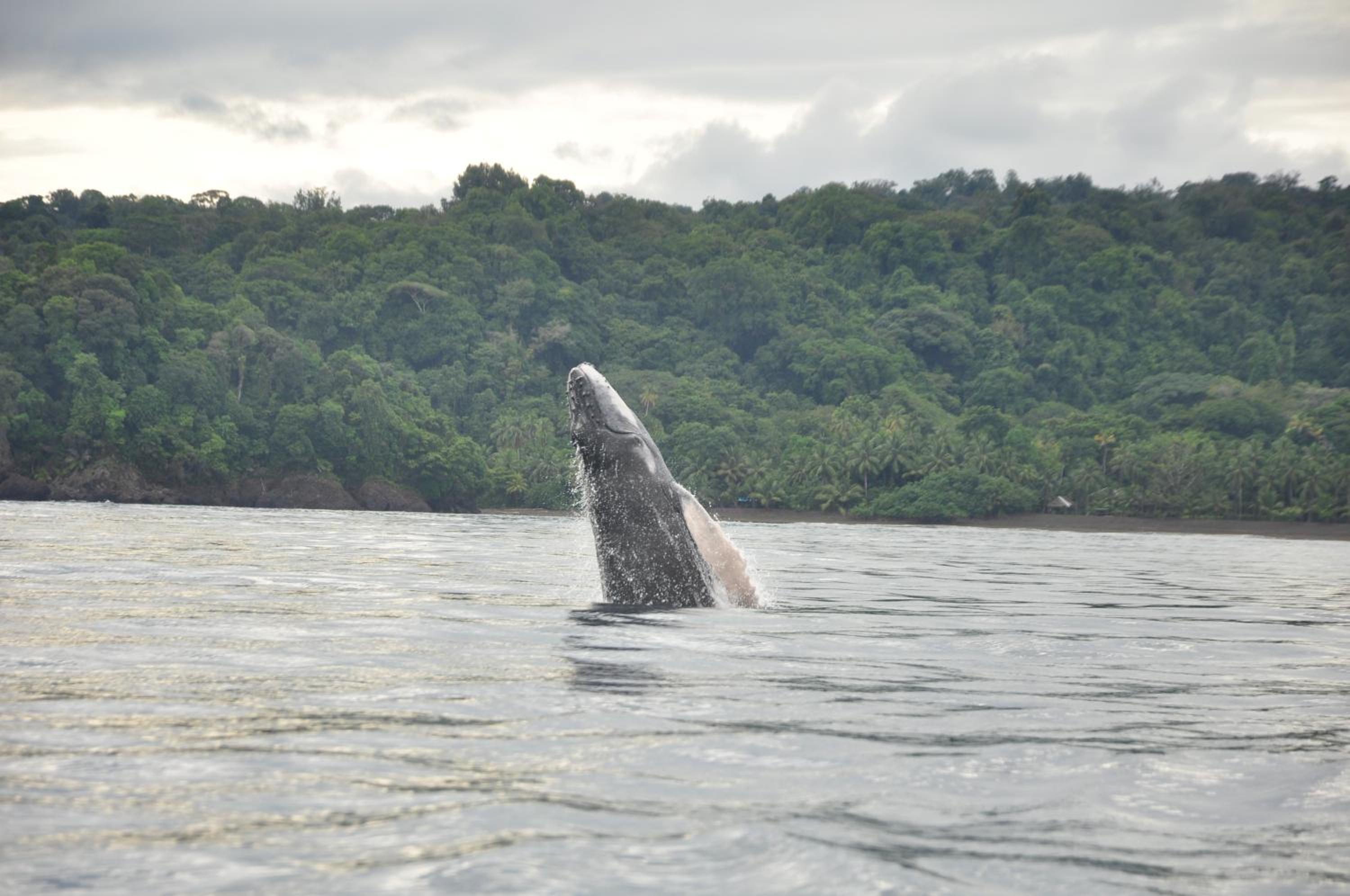 Ecolodge Mar y Rio