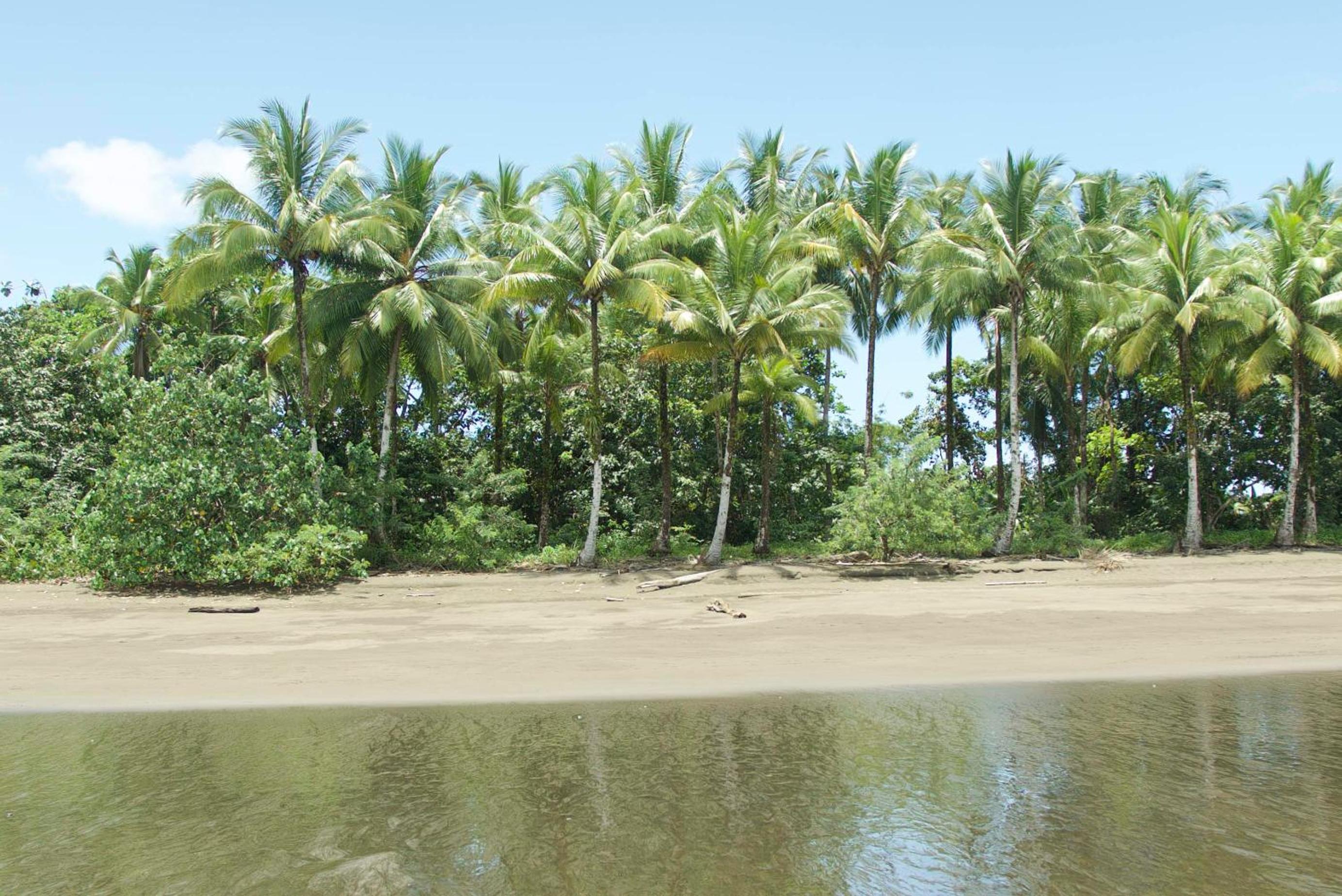 Ecolodge Mar y Rio