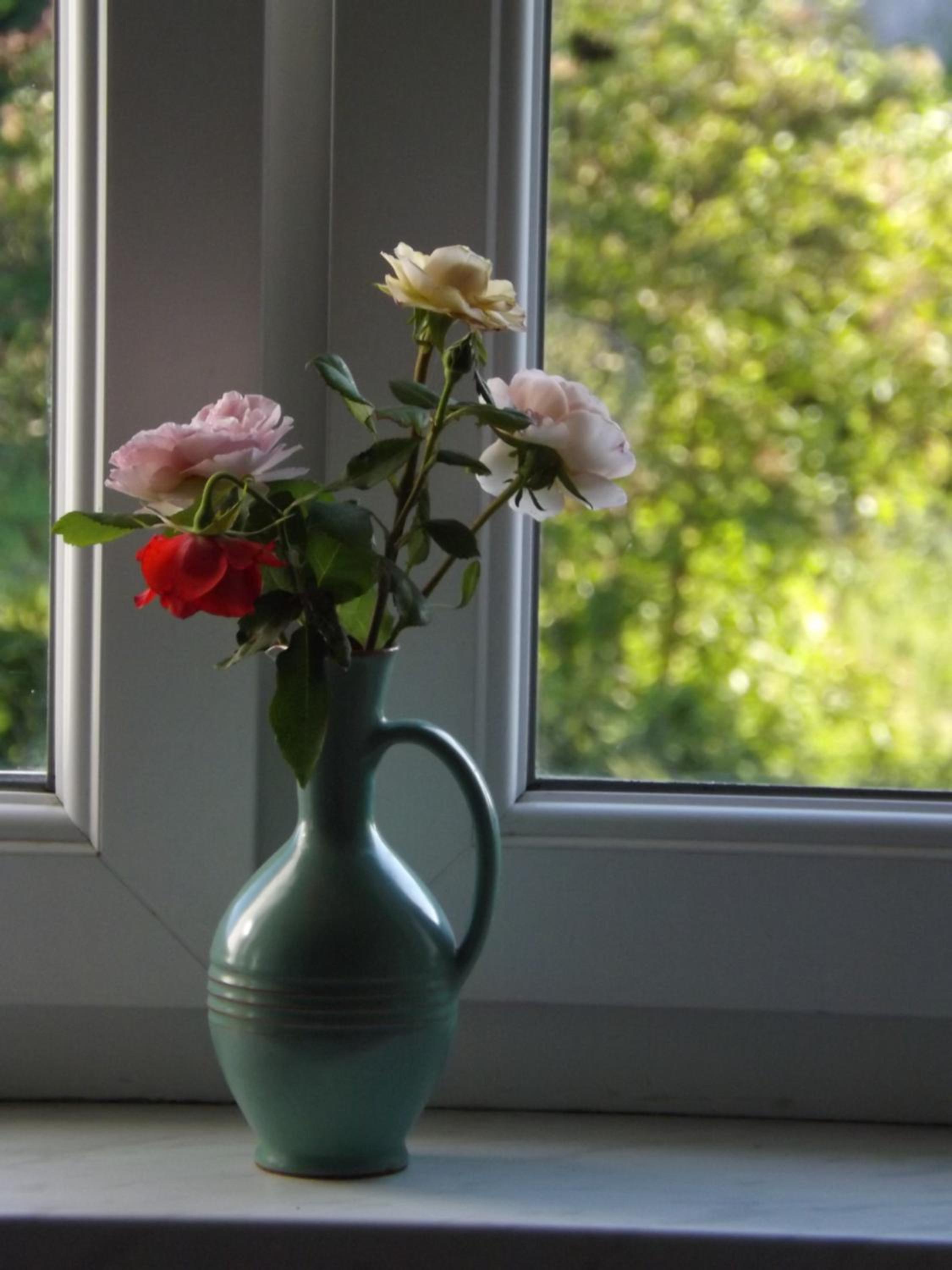 Photo 40