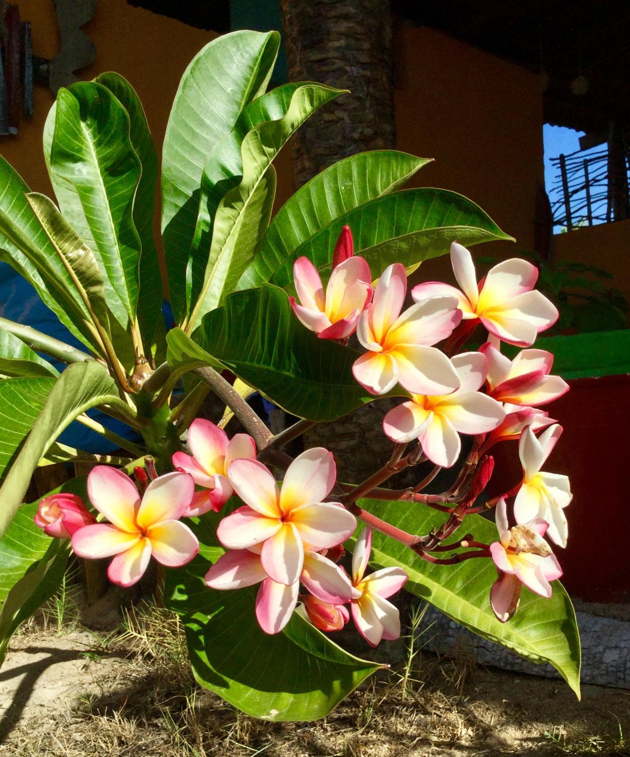 Pousada Kite Guajiru
