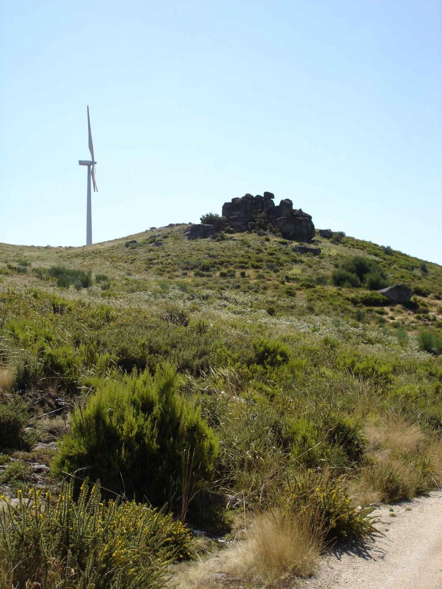 Photo 45
