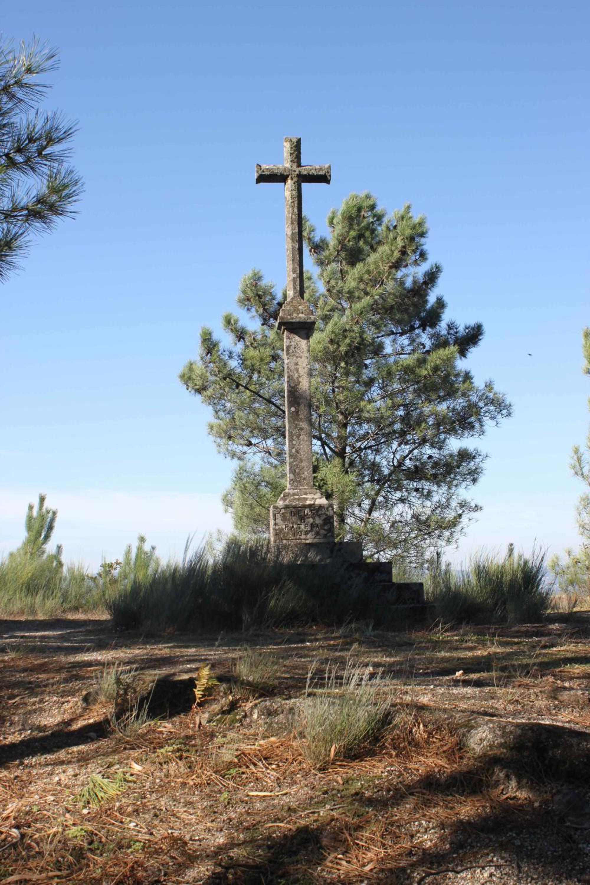 Photo 41