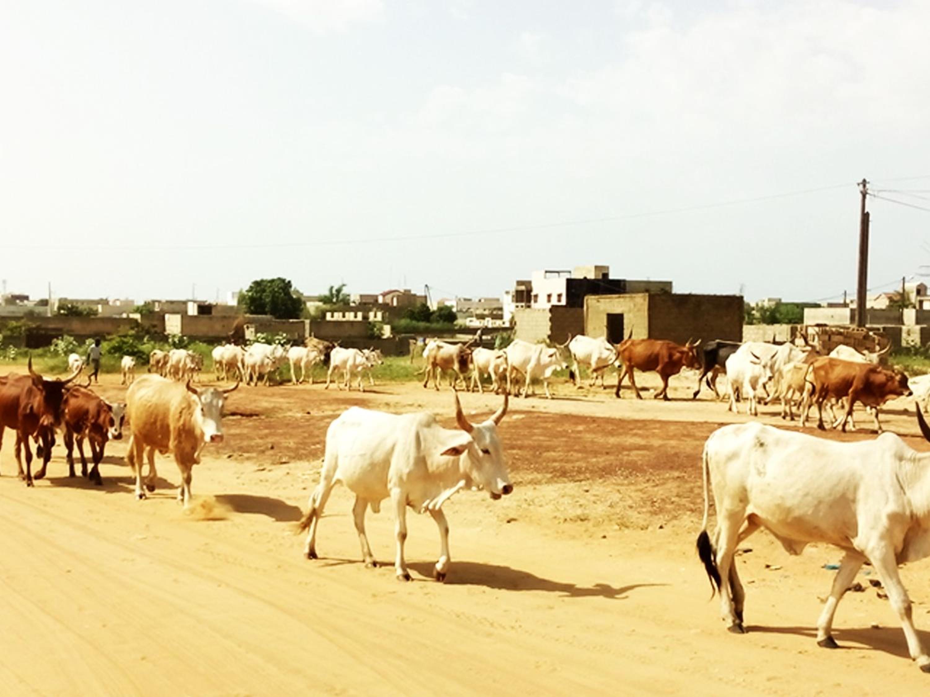 Guesthouse Dalal ak Jàmm view 4
