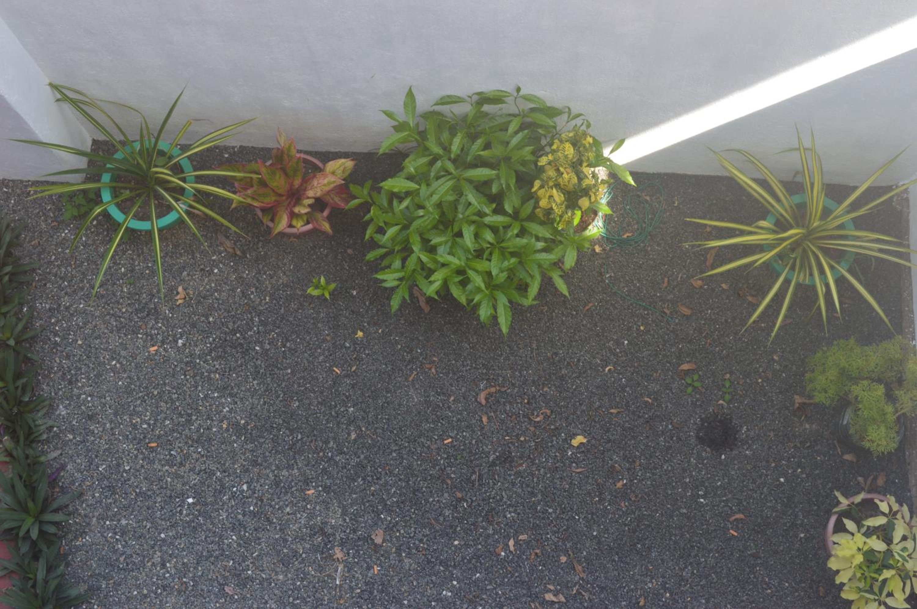 Photo 47