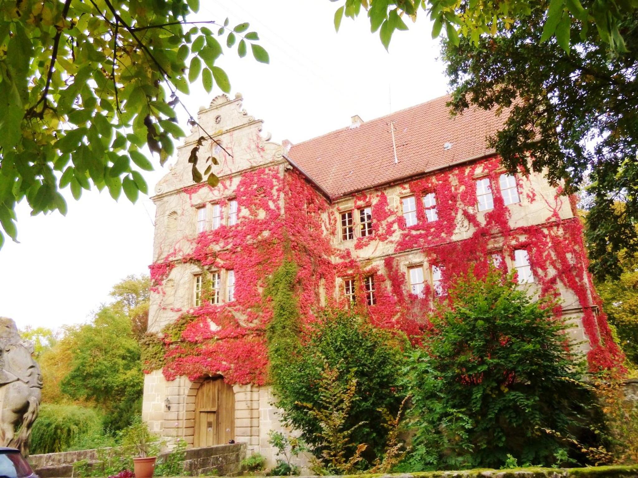 Ferienwohnung am Wanderweg view 2