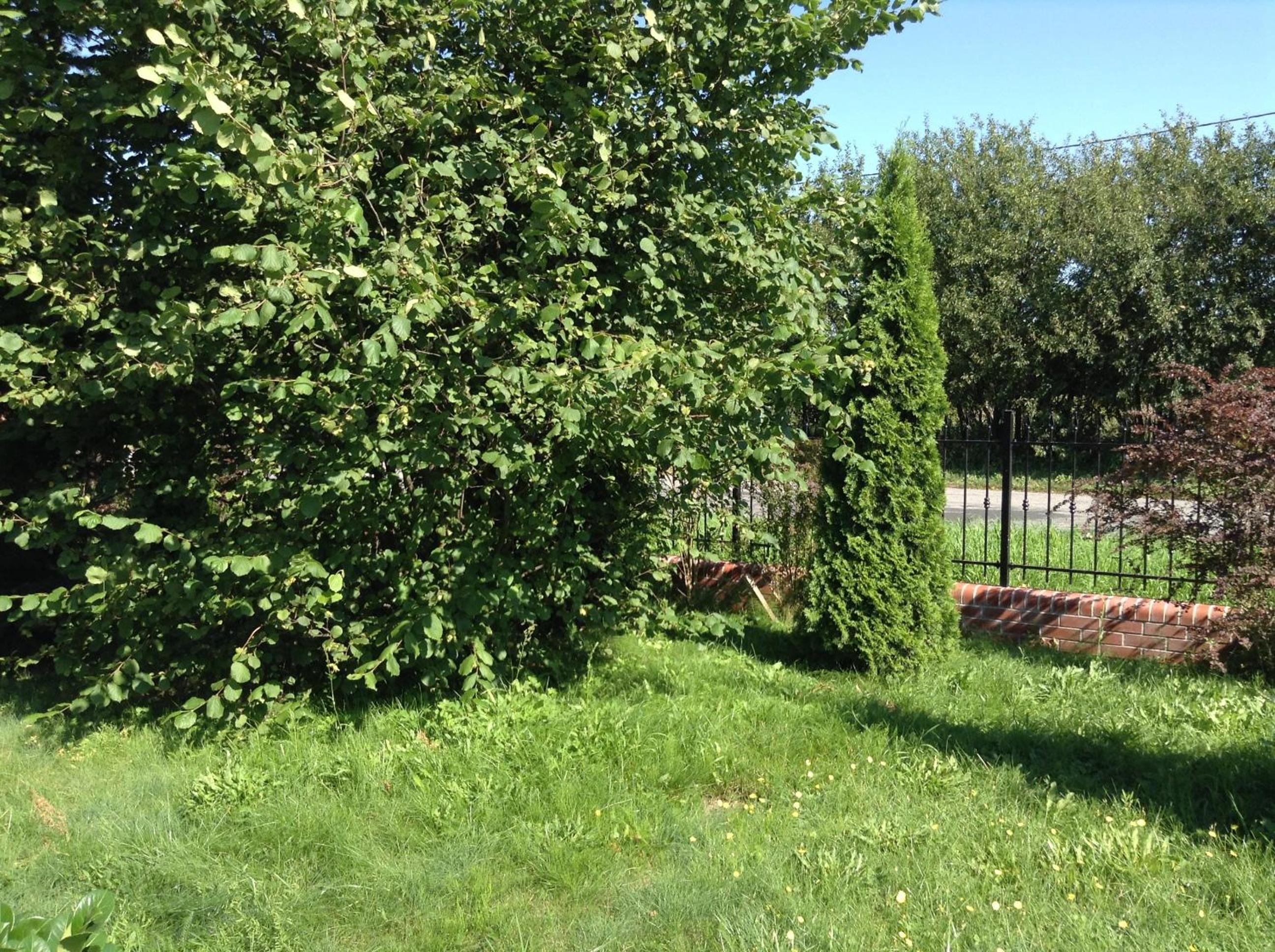 Photo 44