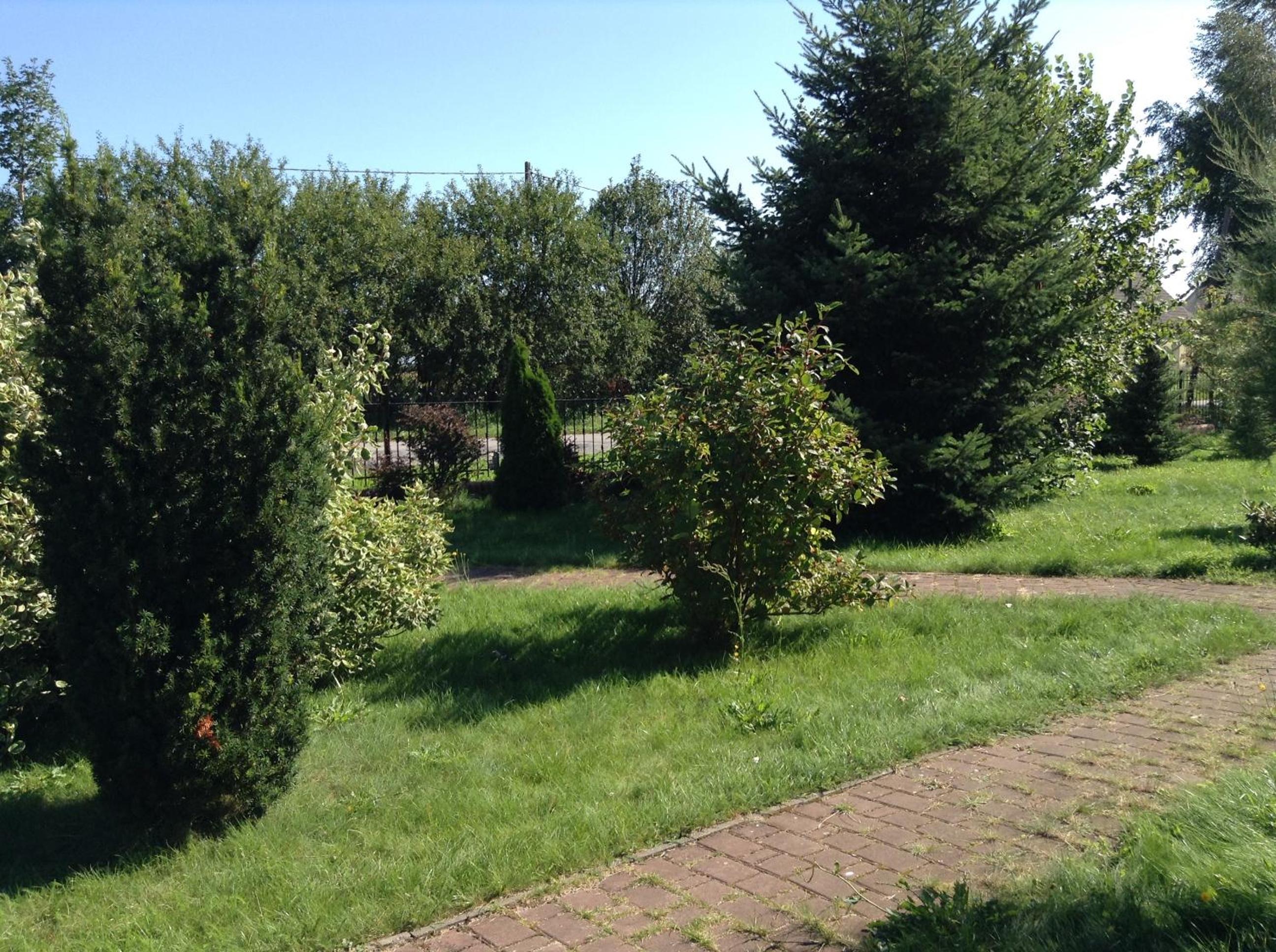 Photo 41
