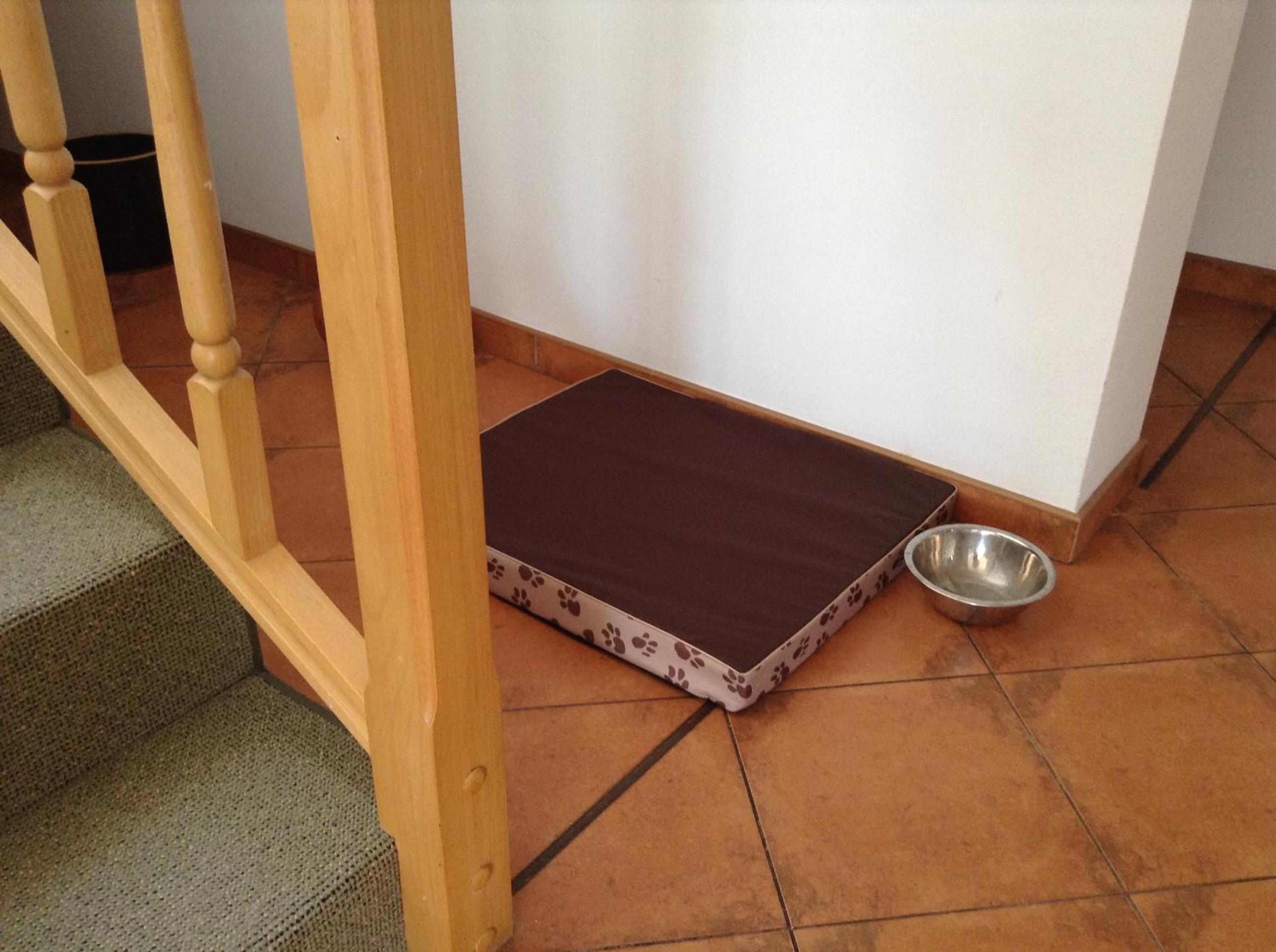 Photo 32