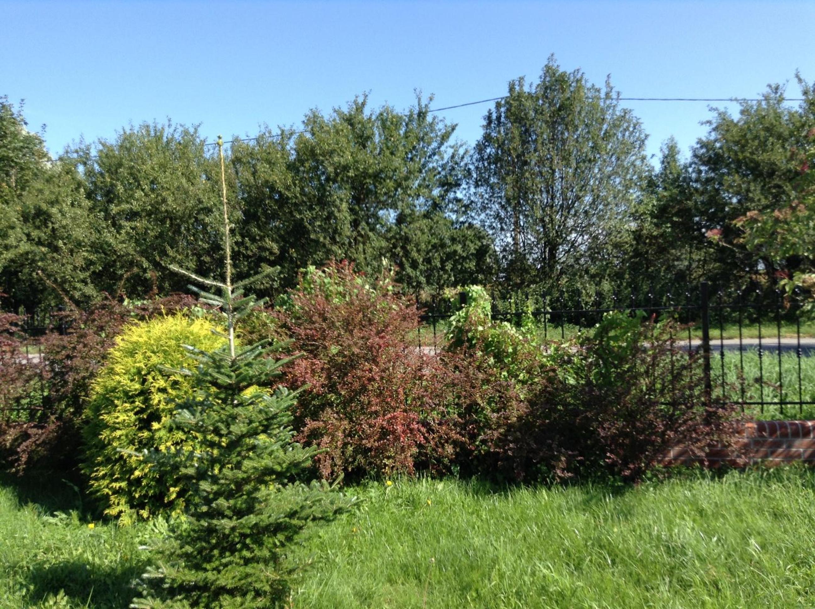 Photo 43
