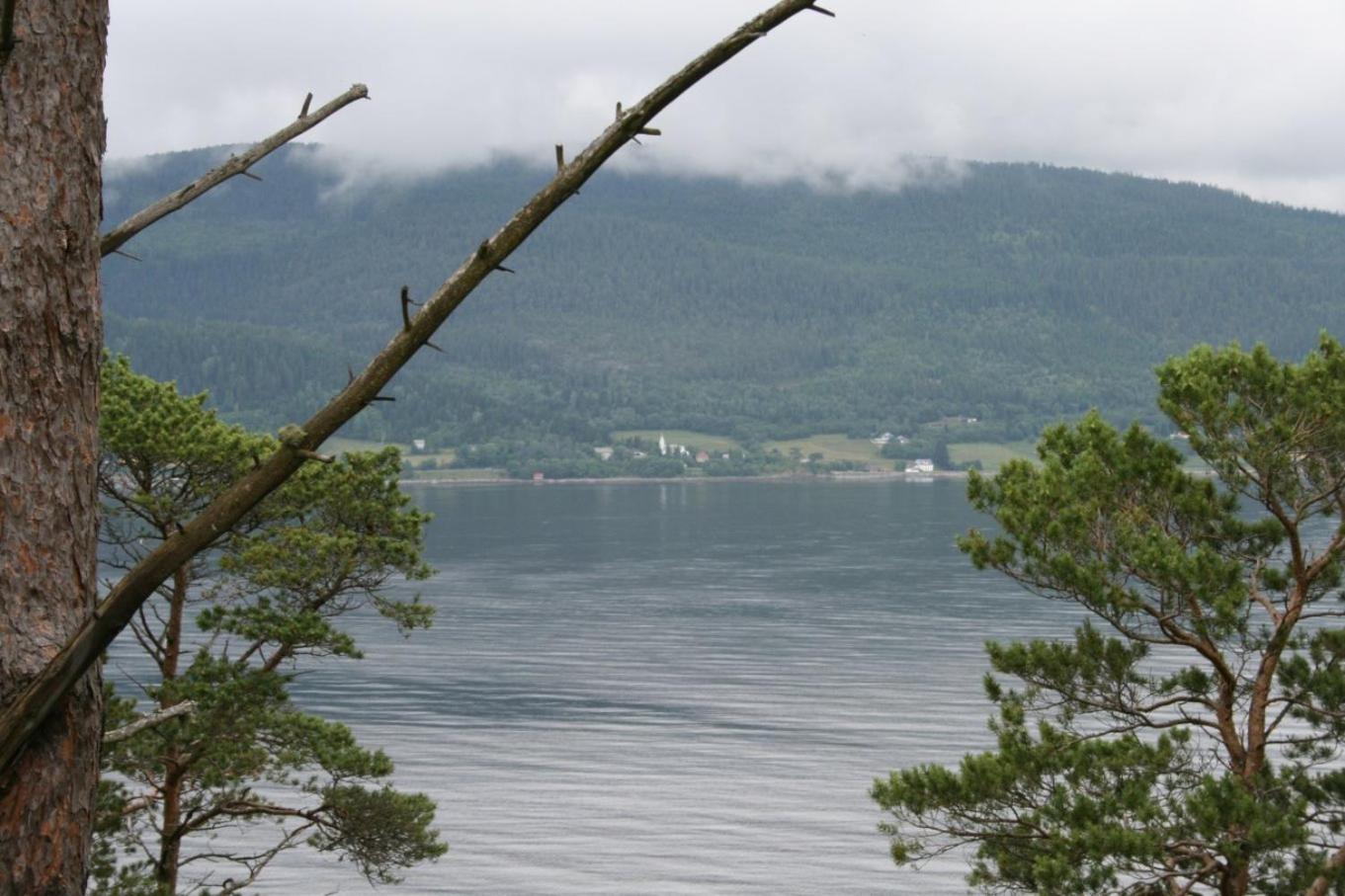 Tråsåvika Camping