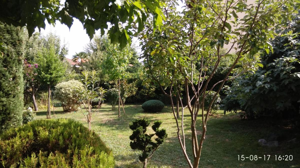 Photo 23