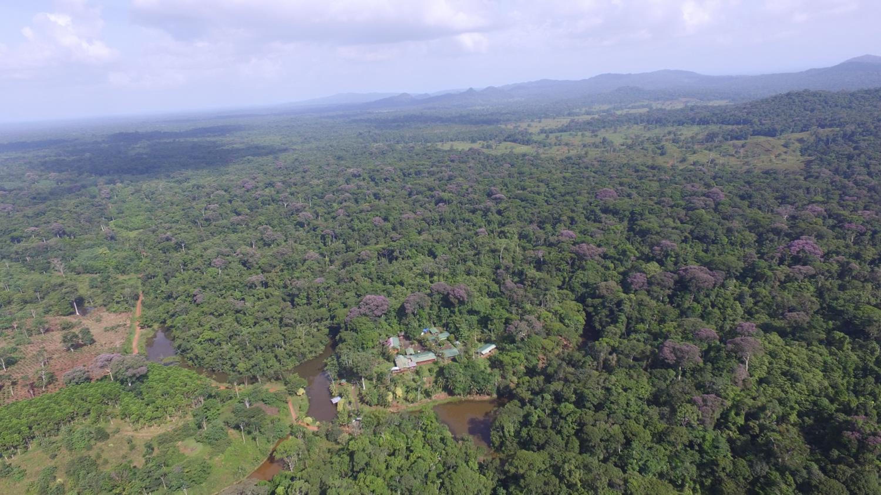 La Laguna del Lagarto Eco-Lodge