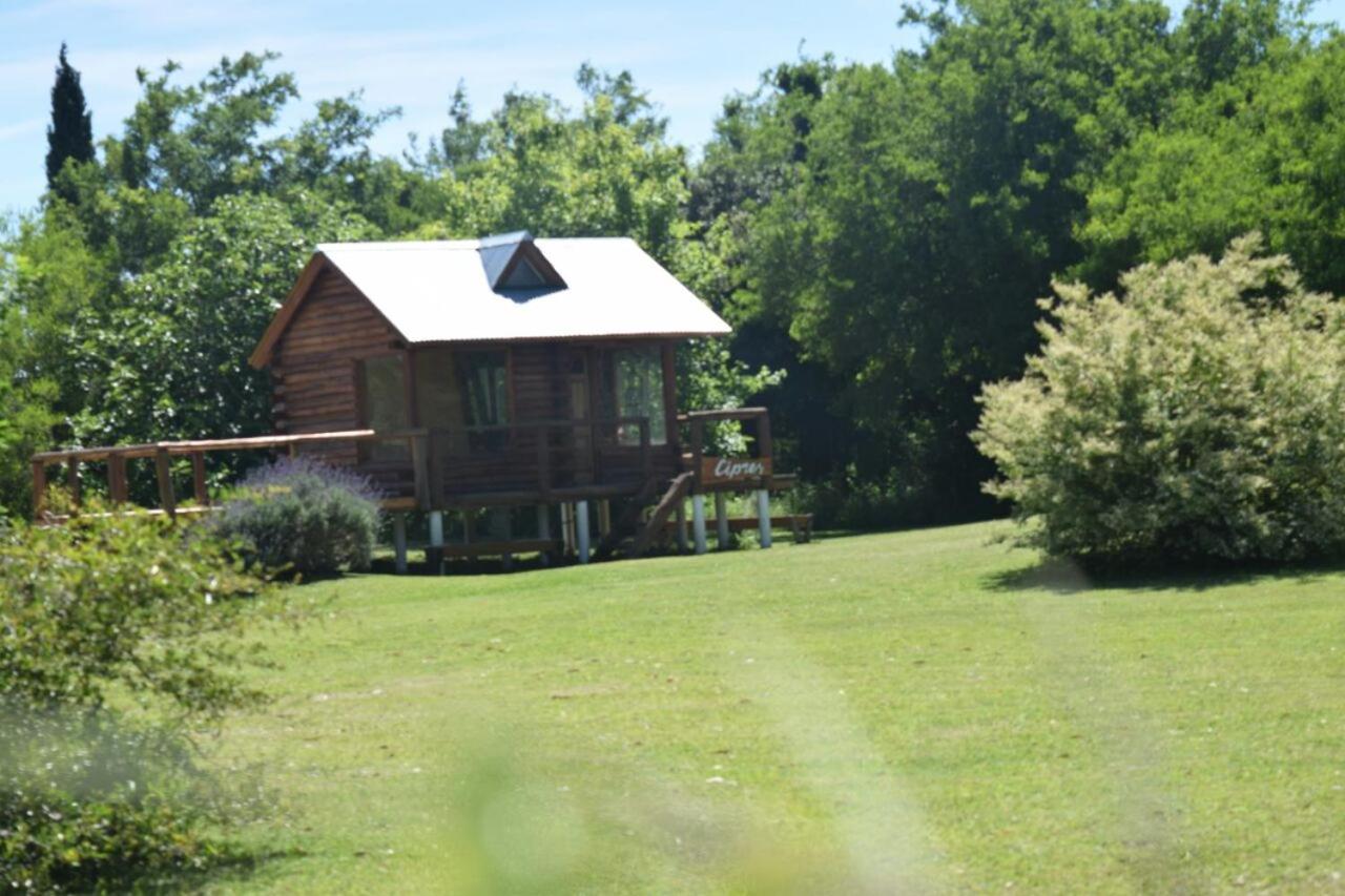 Cabañas Tunkelen