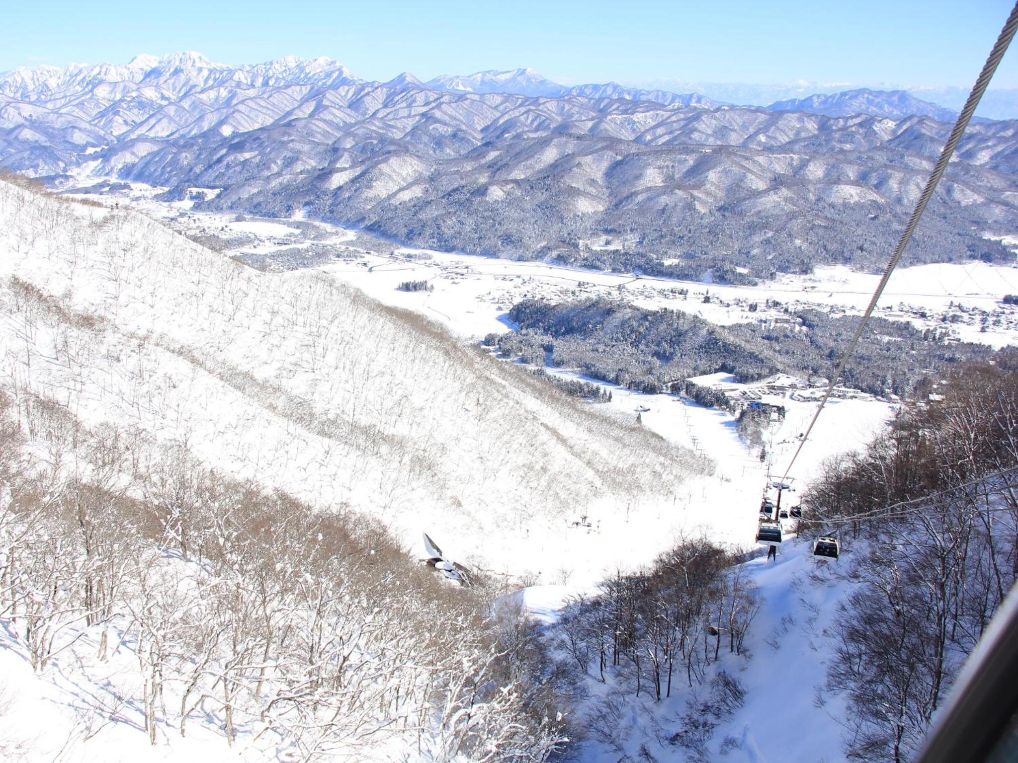 Hakuba Tsugaike Sunrise Tanne