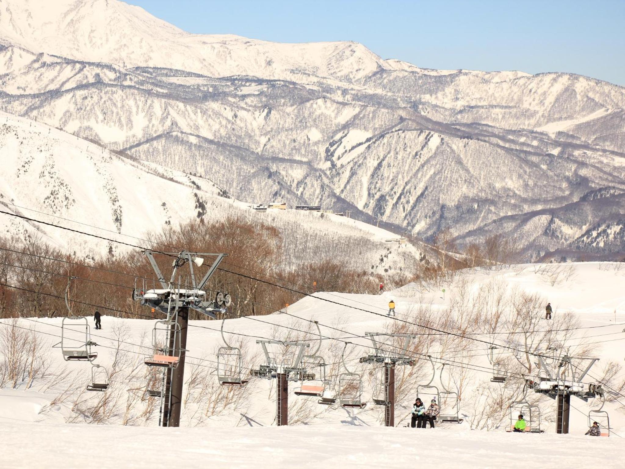 Hakuba Tsugaike Sunrise Tanne