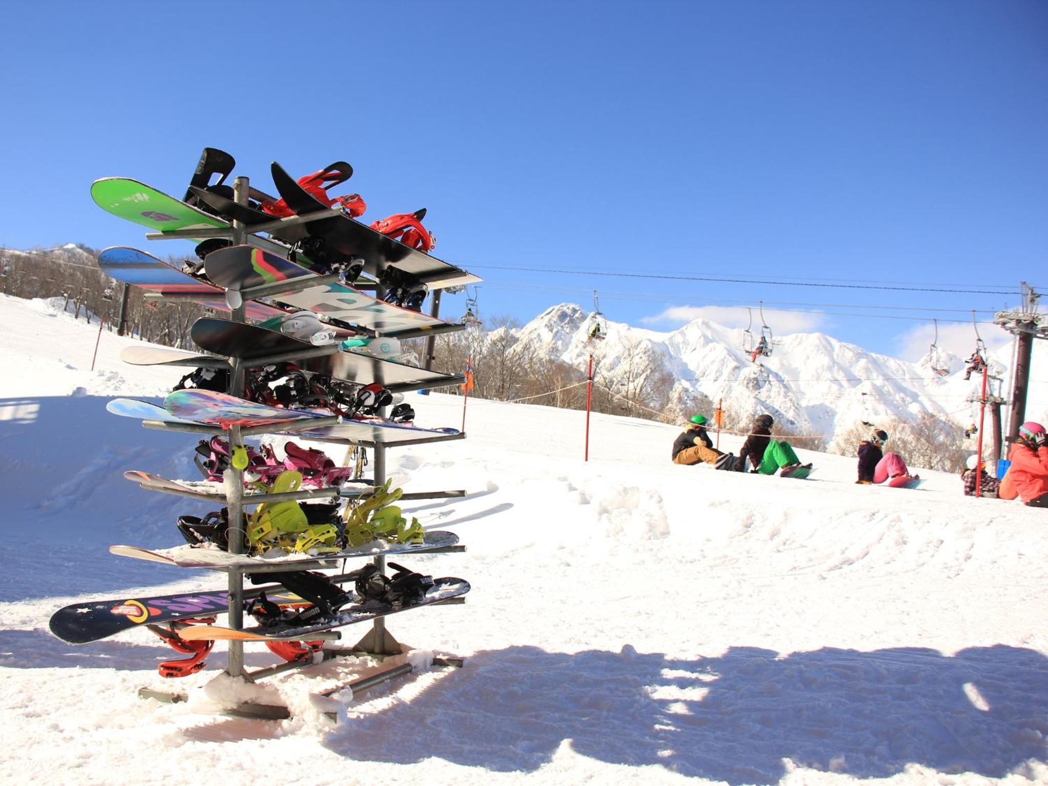 Hakuba Tsugaike Sunrise Tanne