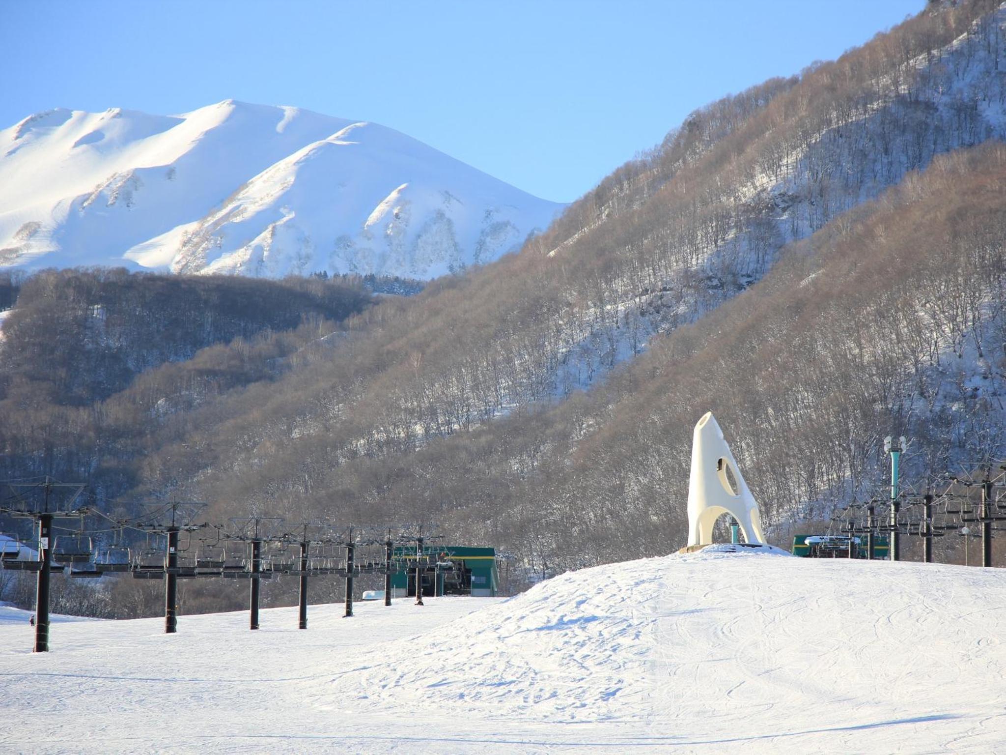 Hakuba Tsugaike Sunrise Tanne