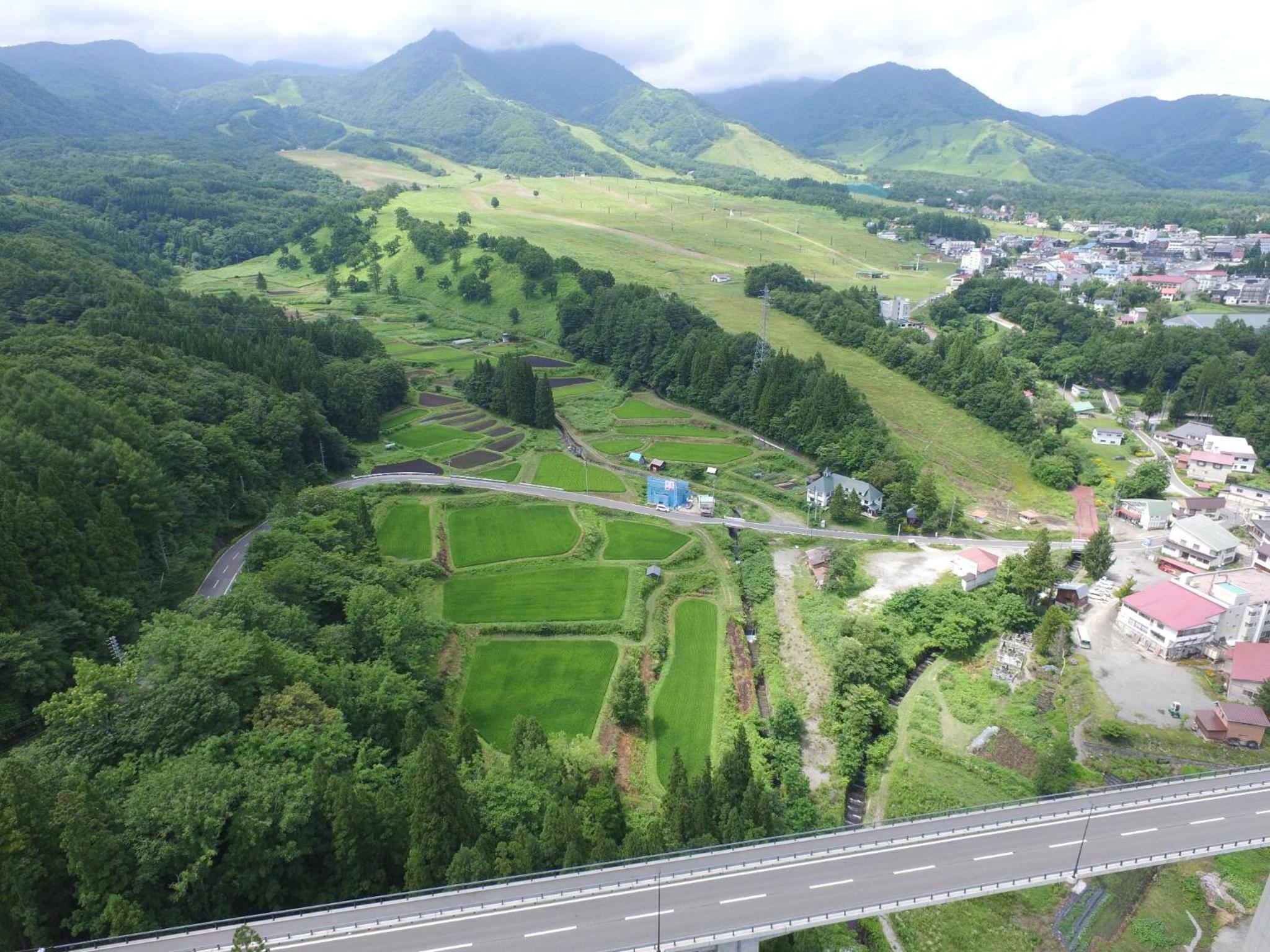 Hakuba Tsugaike Sunrise Tanne