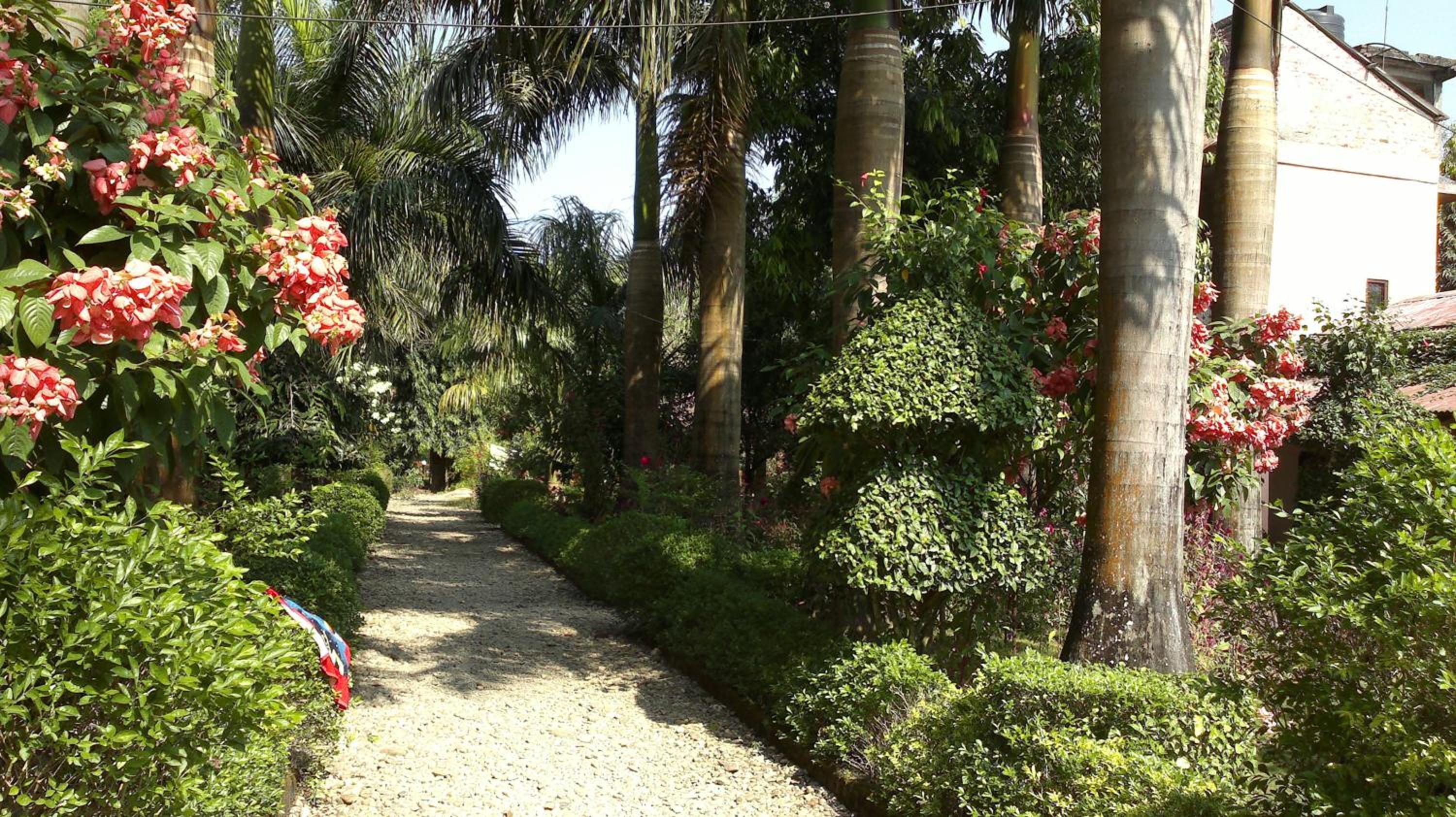 Sauraha Resort