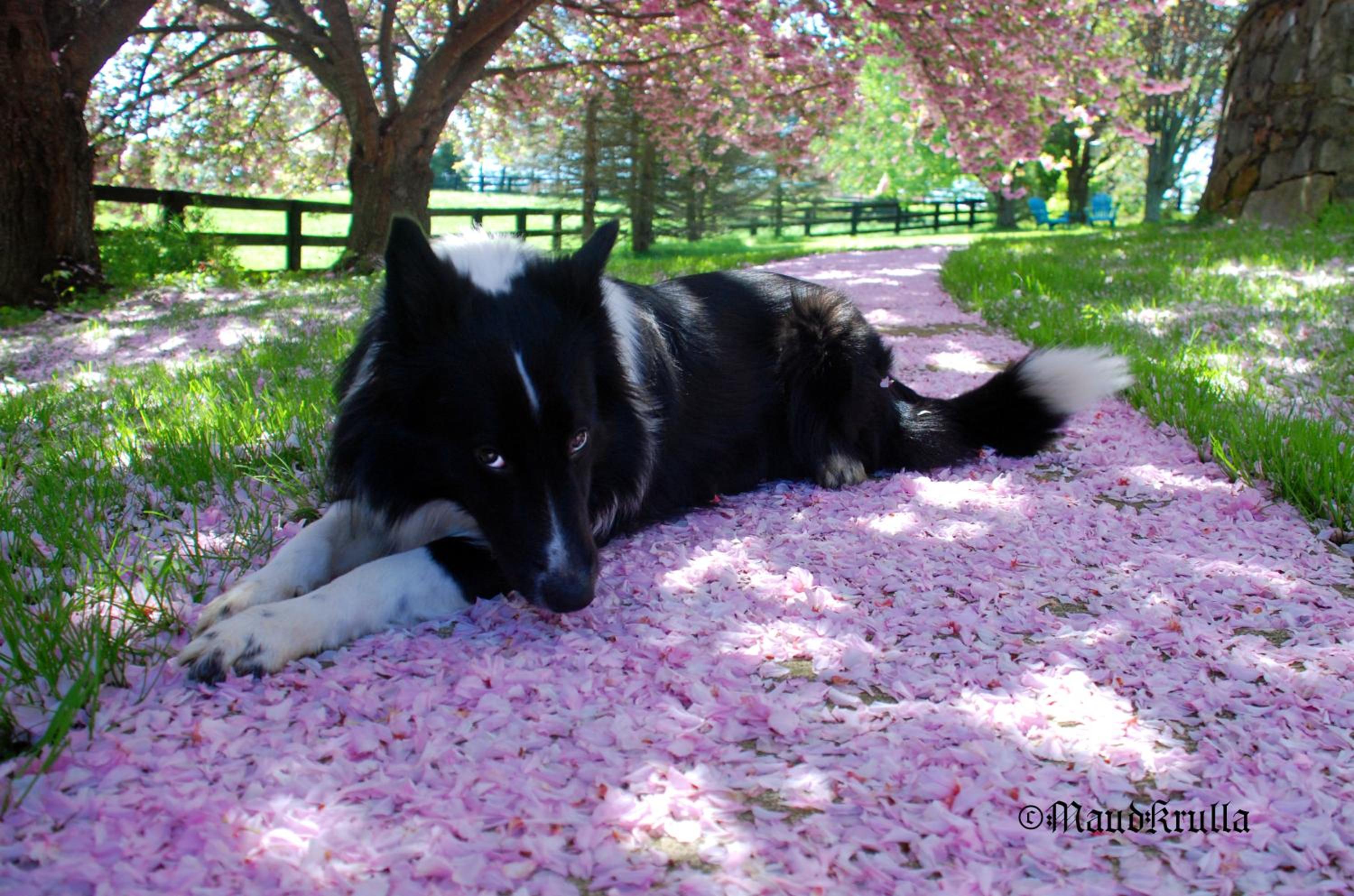 Villa Maud - Property Image 15
