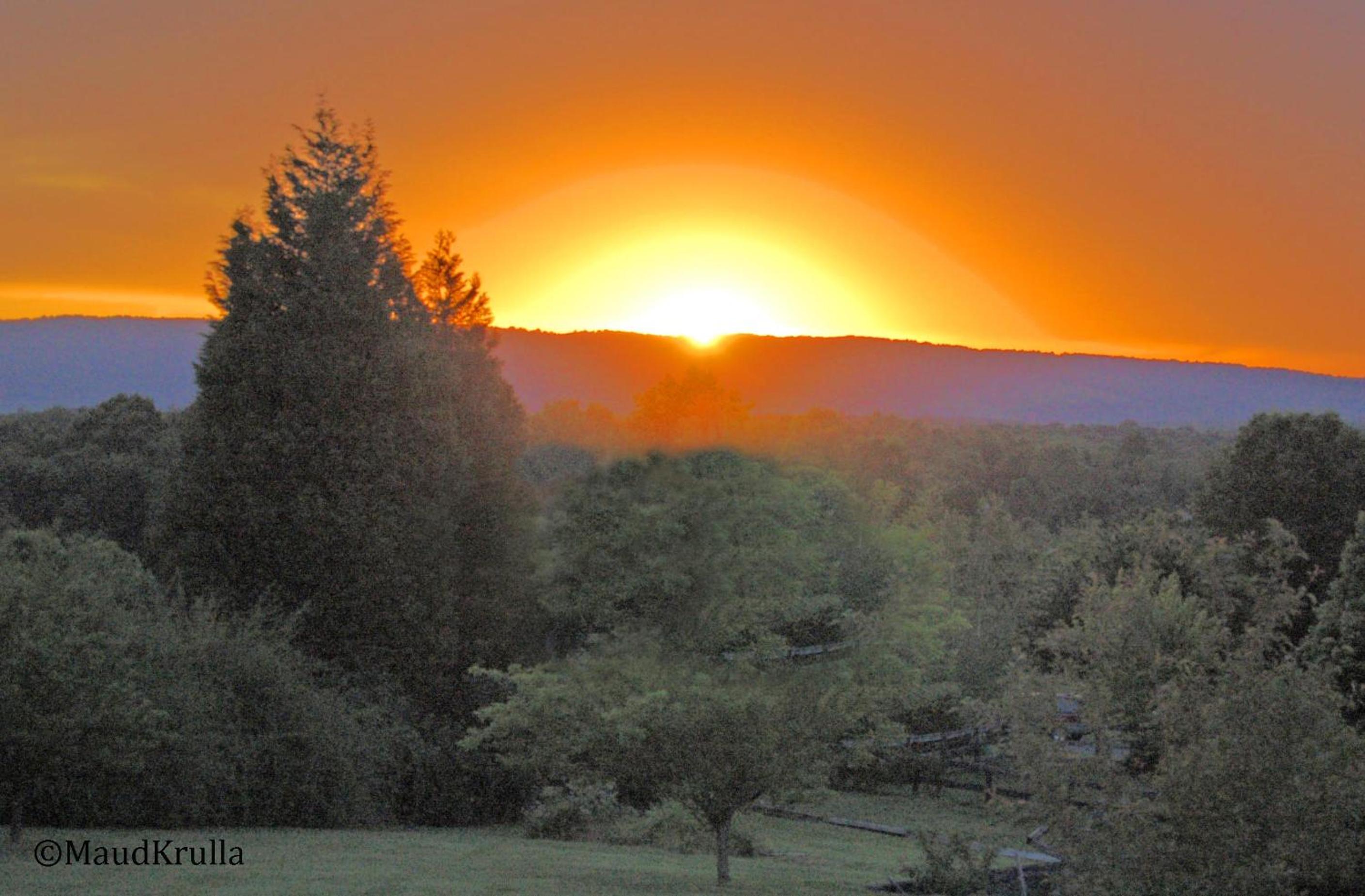 Villa Maud - Property Image 1