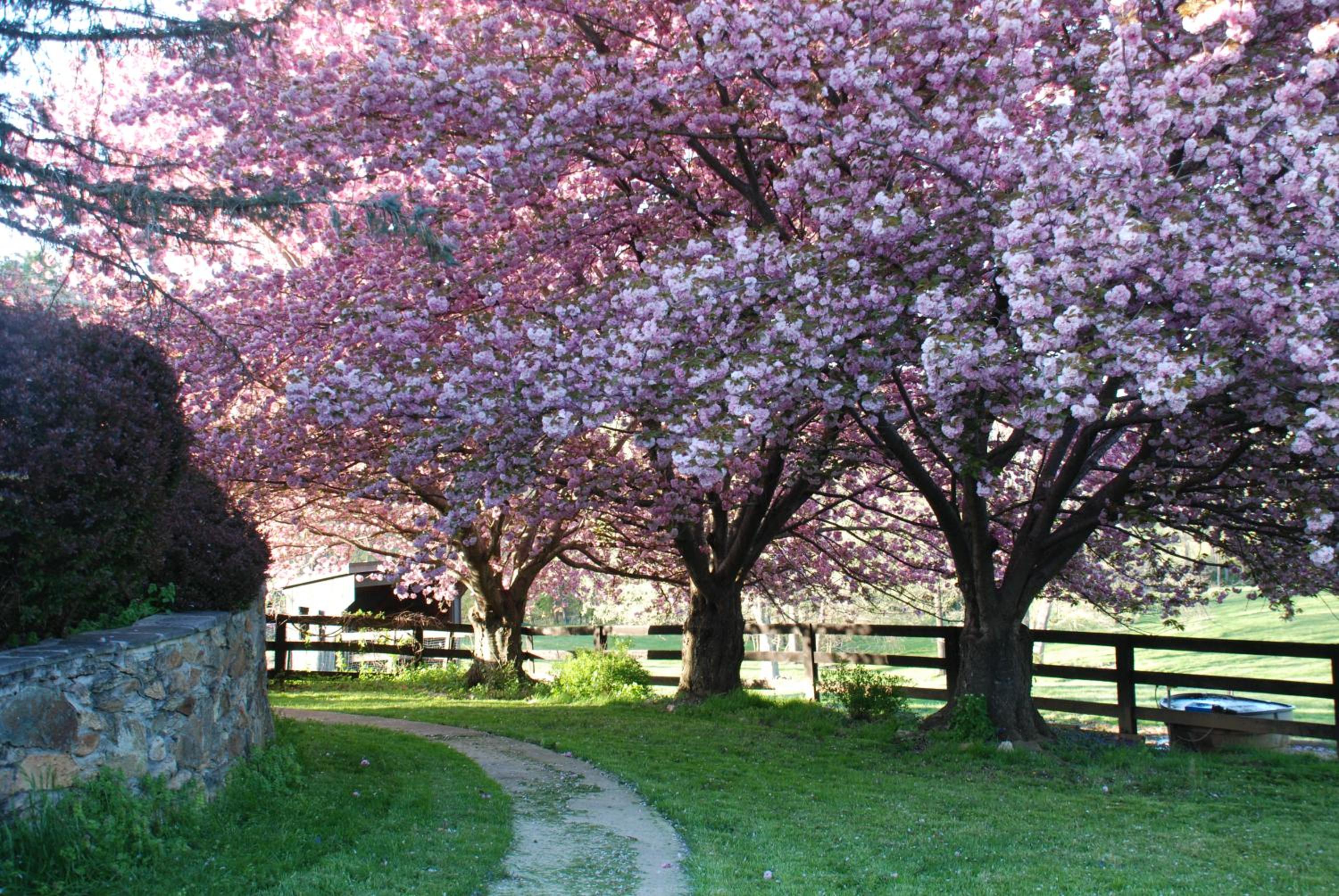Villa Maud - Property Image 8