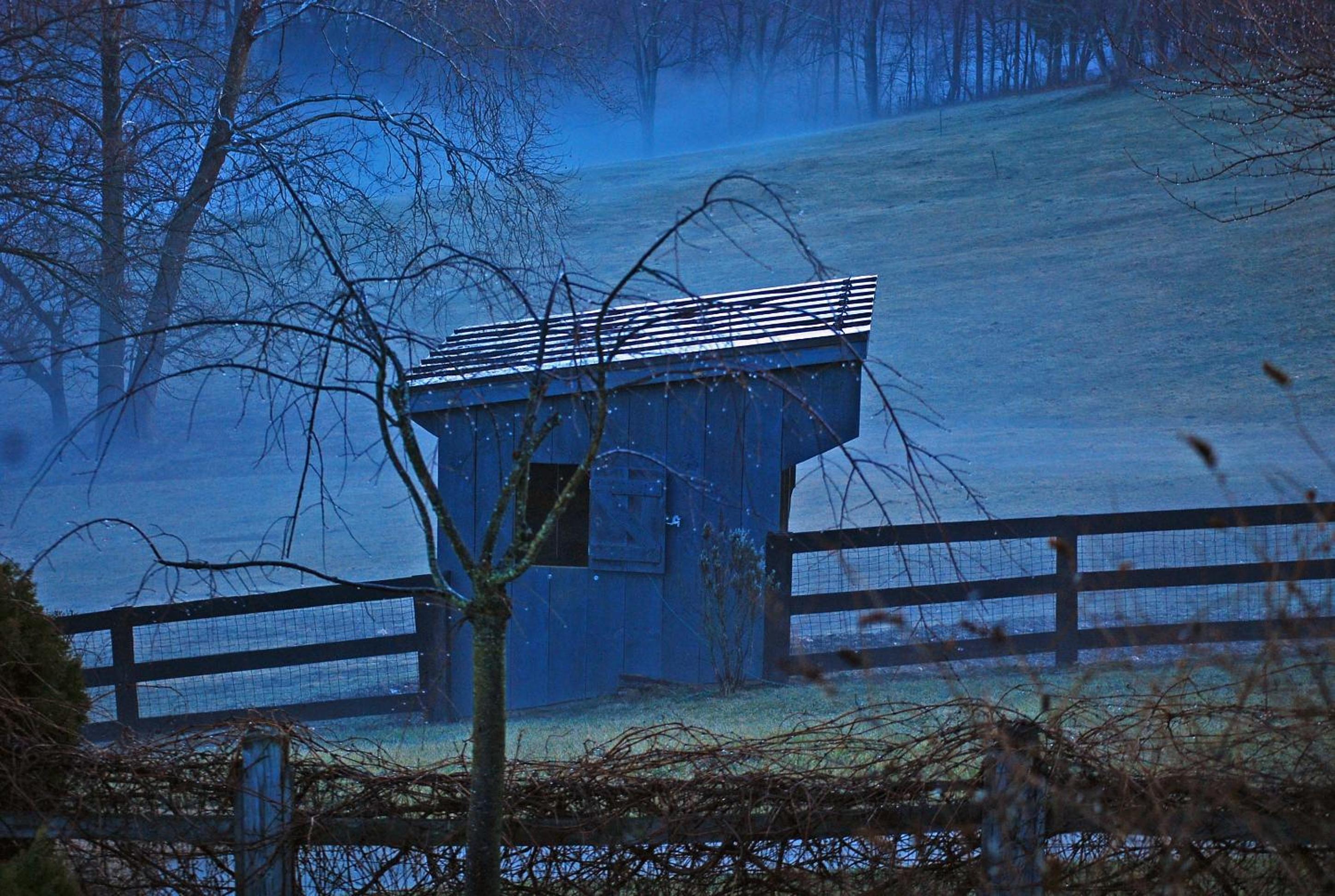 Villa Maud - Property Image 9