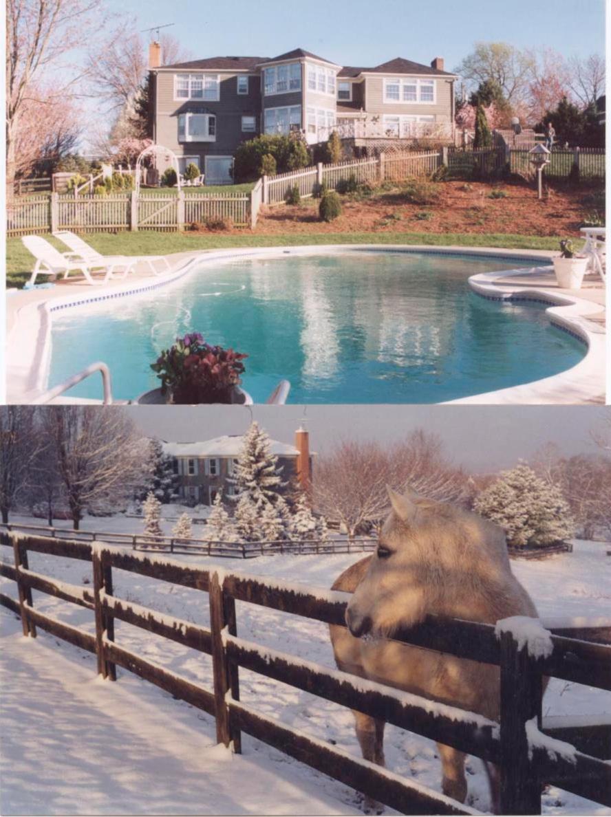 Villa Maud - Property Image 52