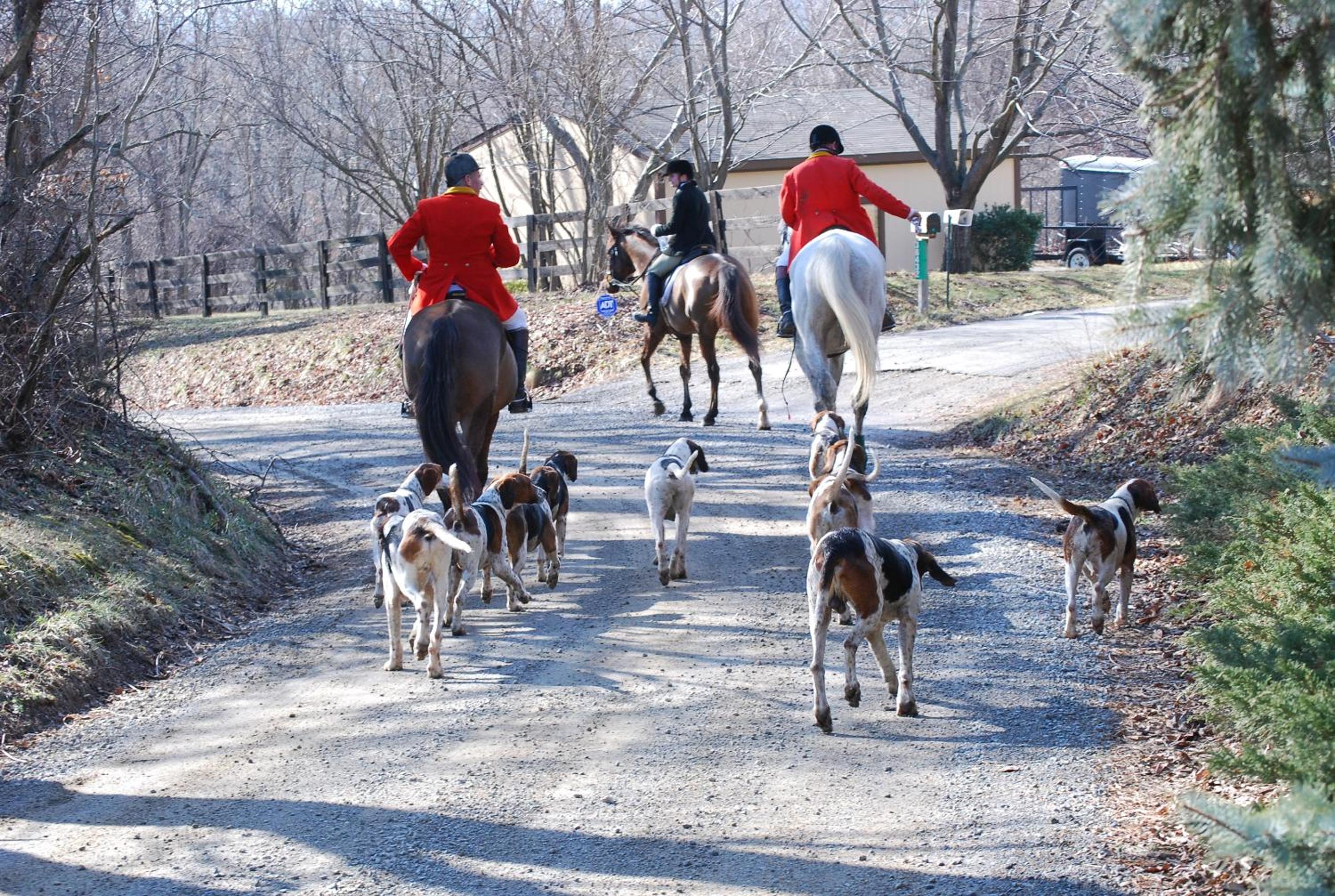 Villa Maud - Property Image 6
