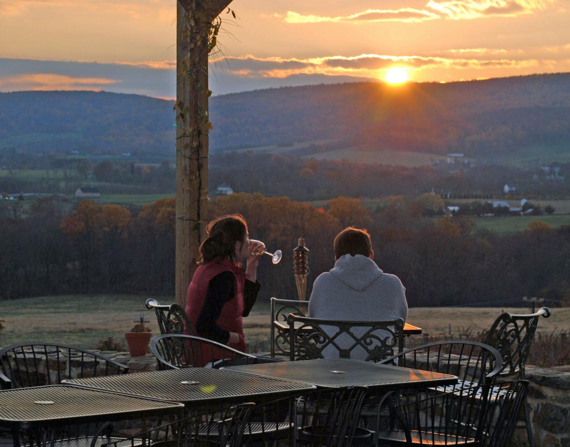 Villa Maud - Property Image 4