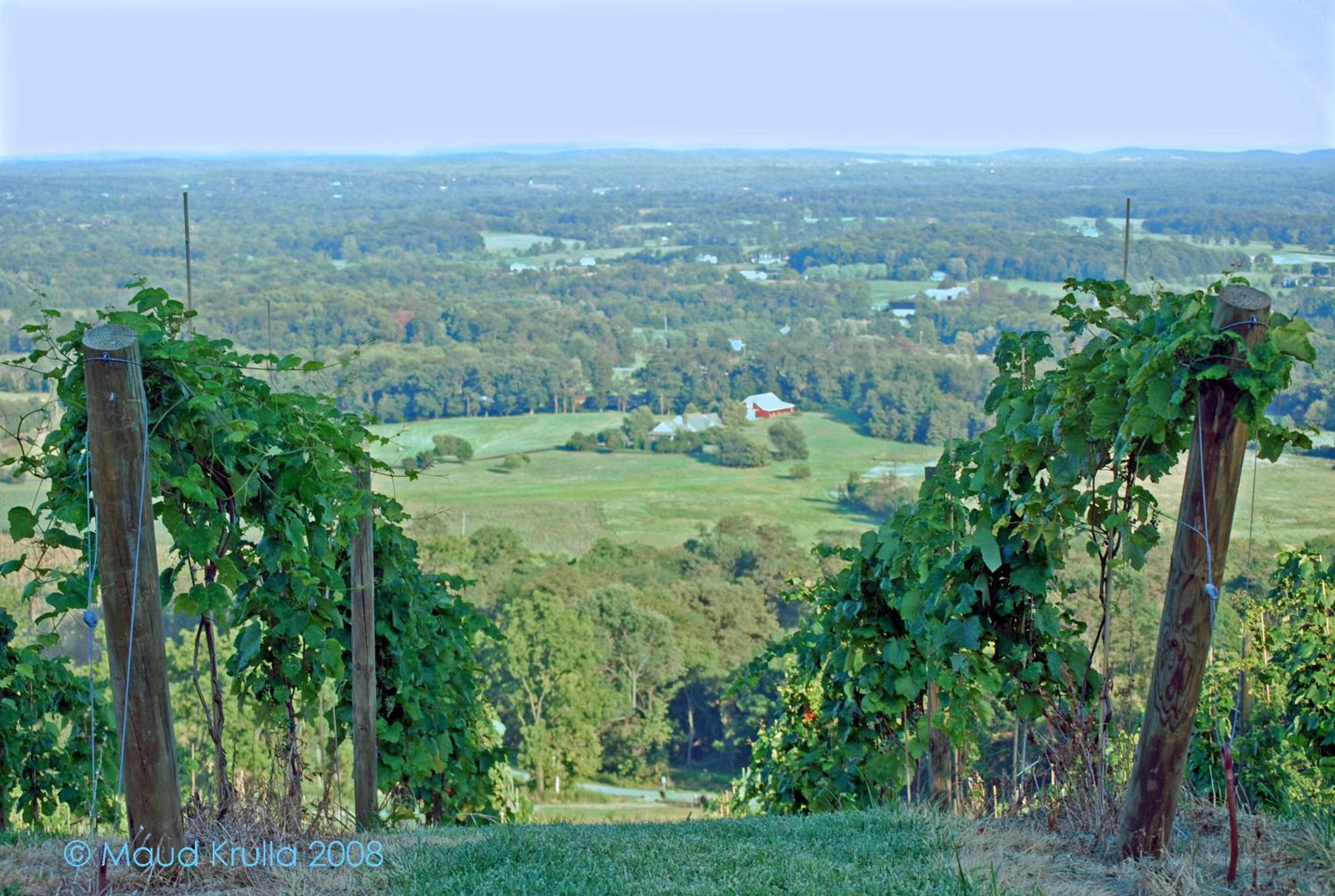 Villa Maud - Property Image 5