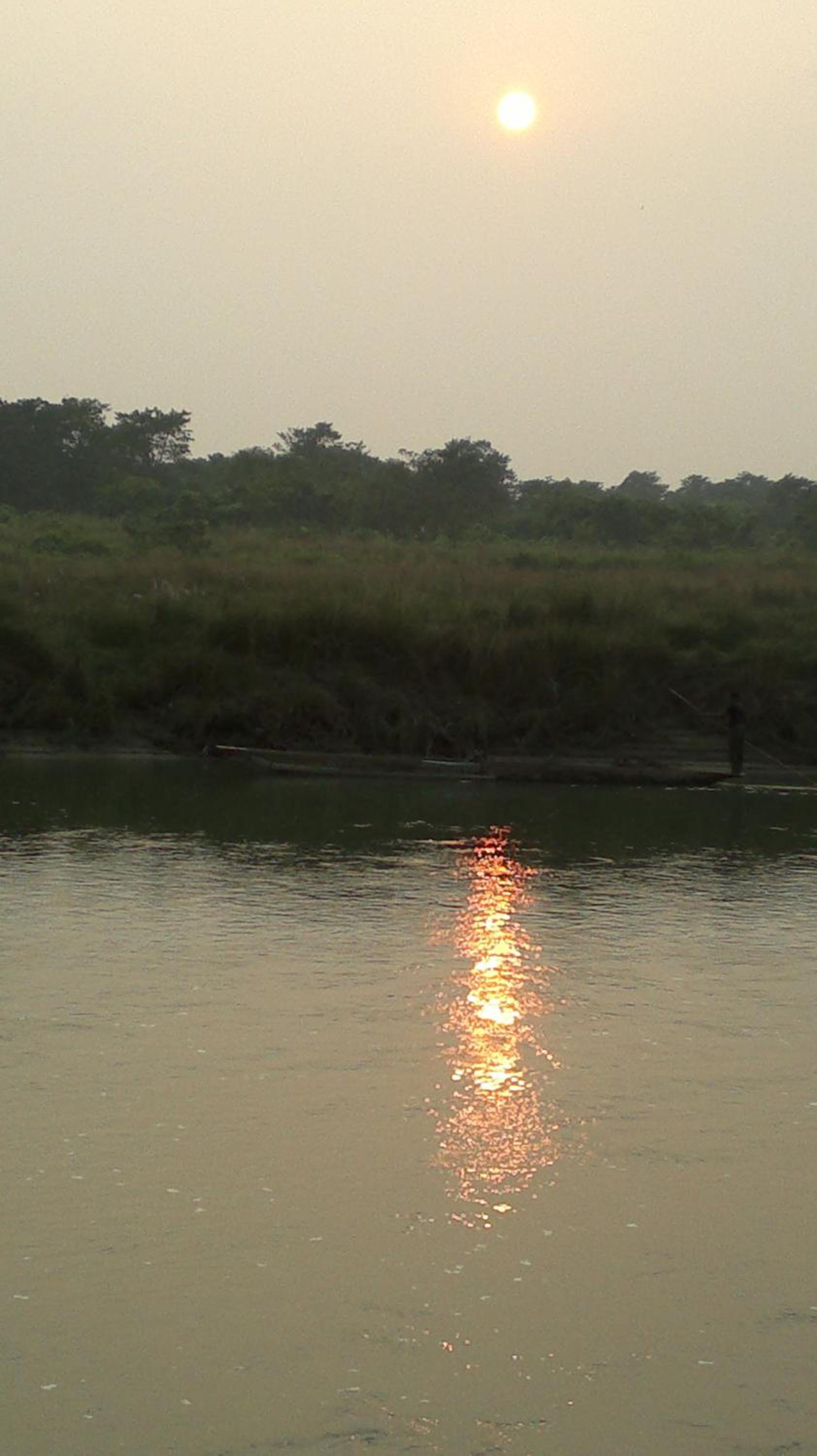 Sauraha Resort