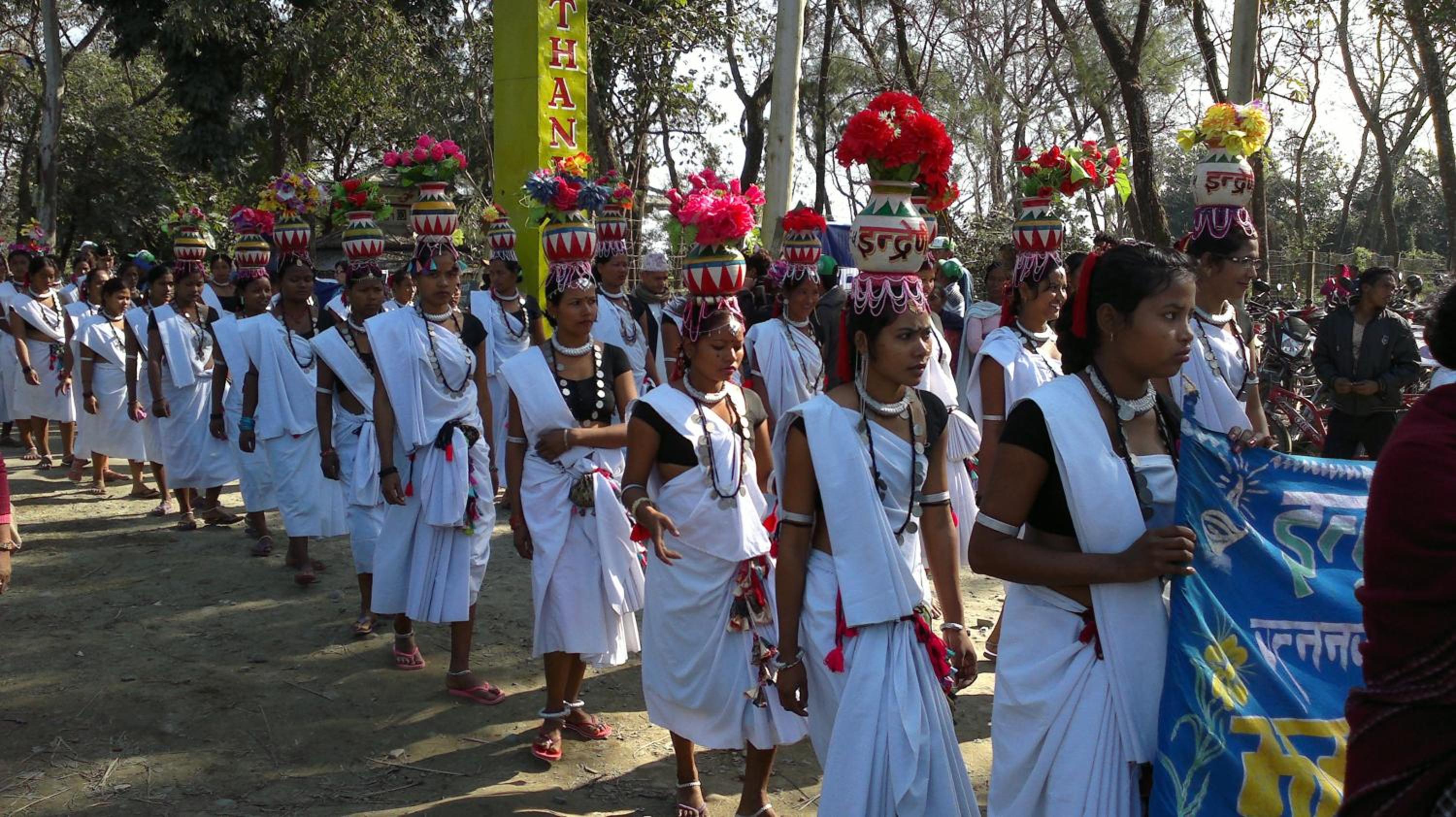 Sauraha Resort