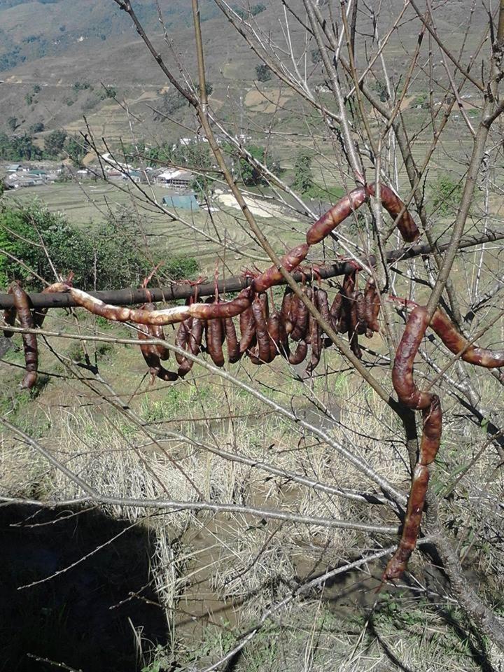 Tavan View Homestay