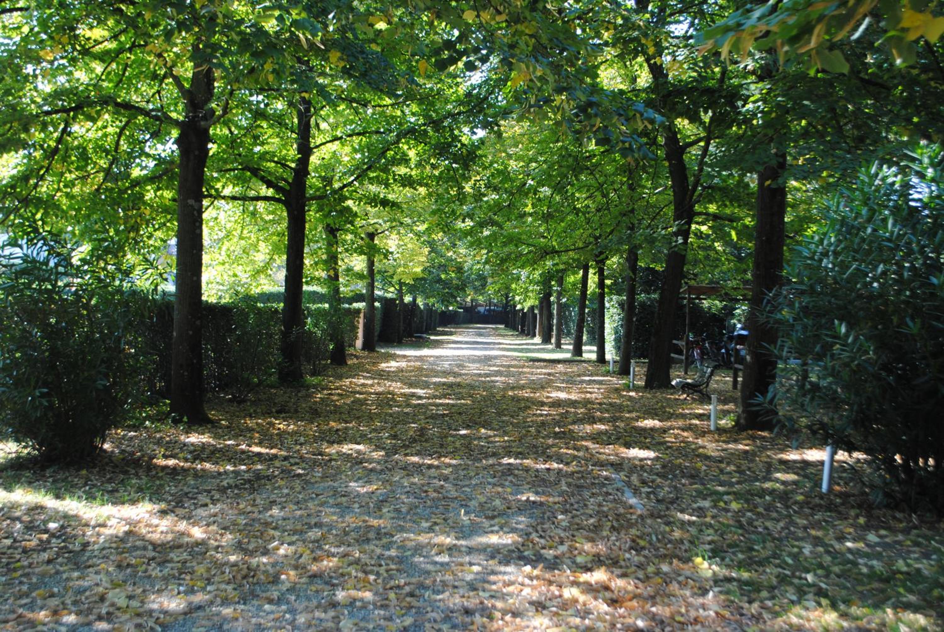 Rovezzano B&B