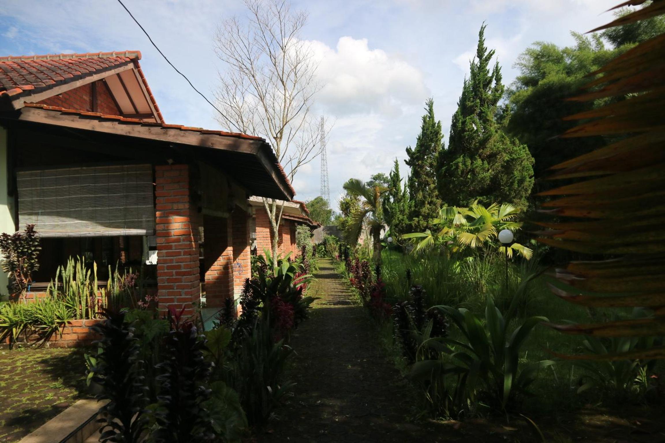 Photo 9