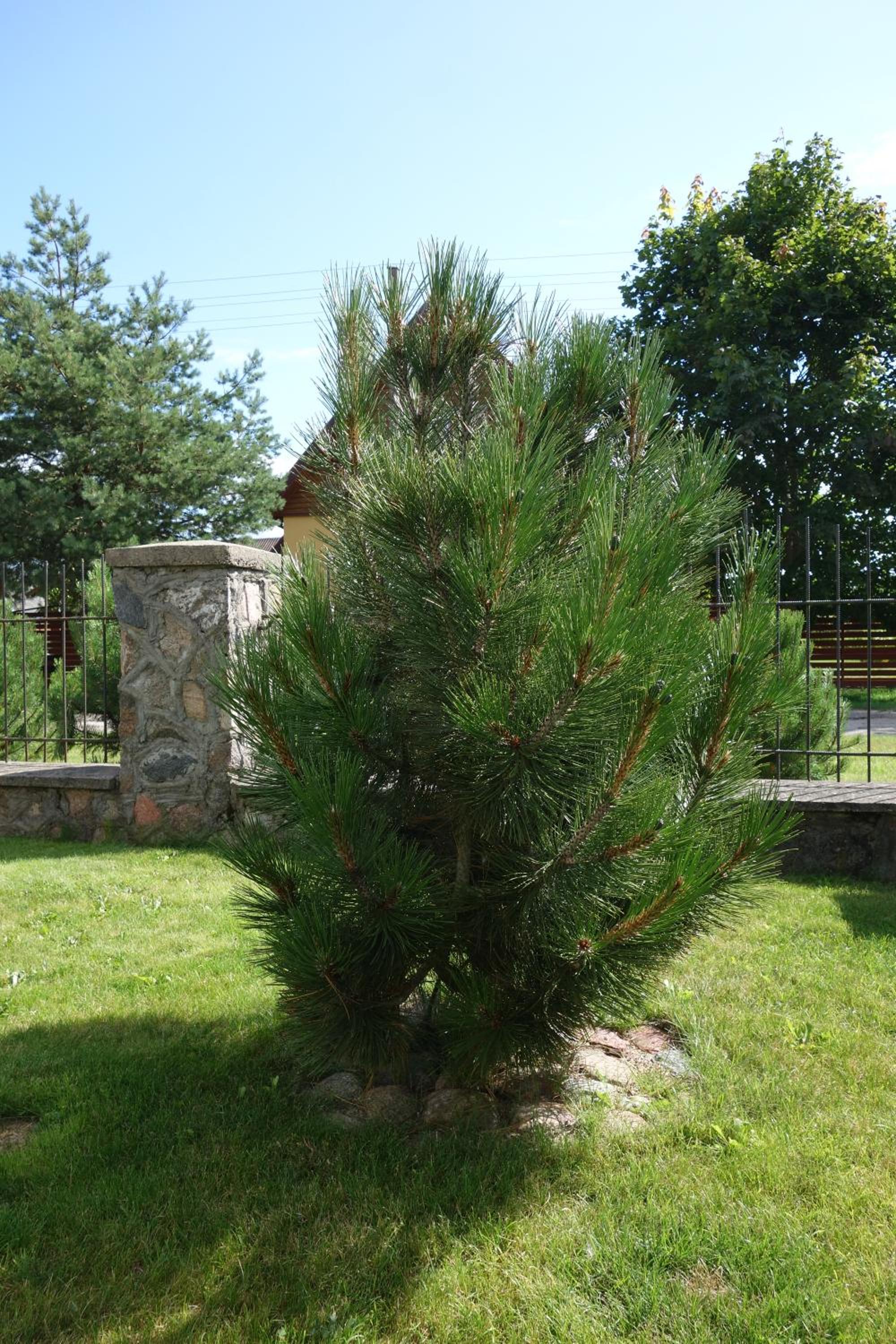 Photo 37