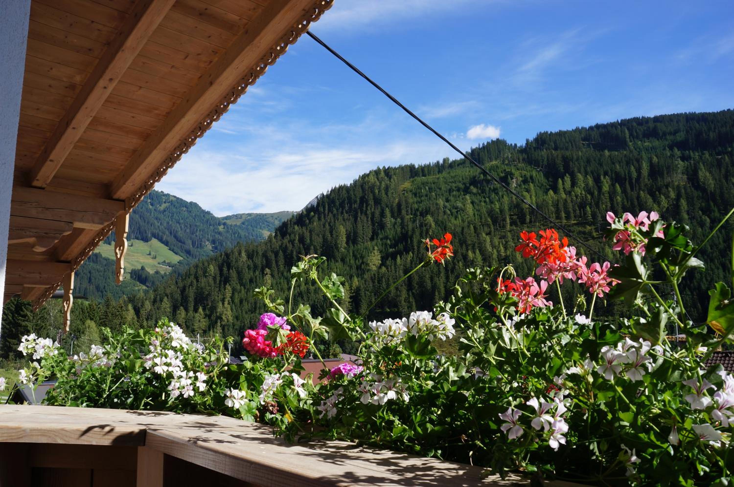 Haus Dorfblick