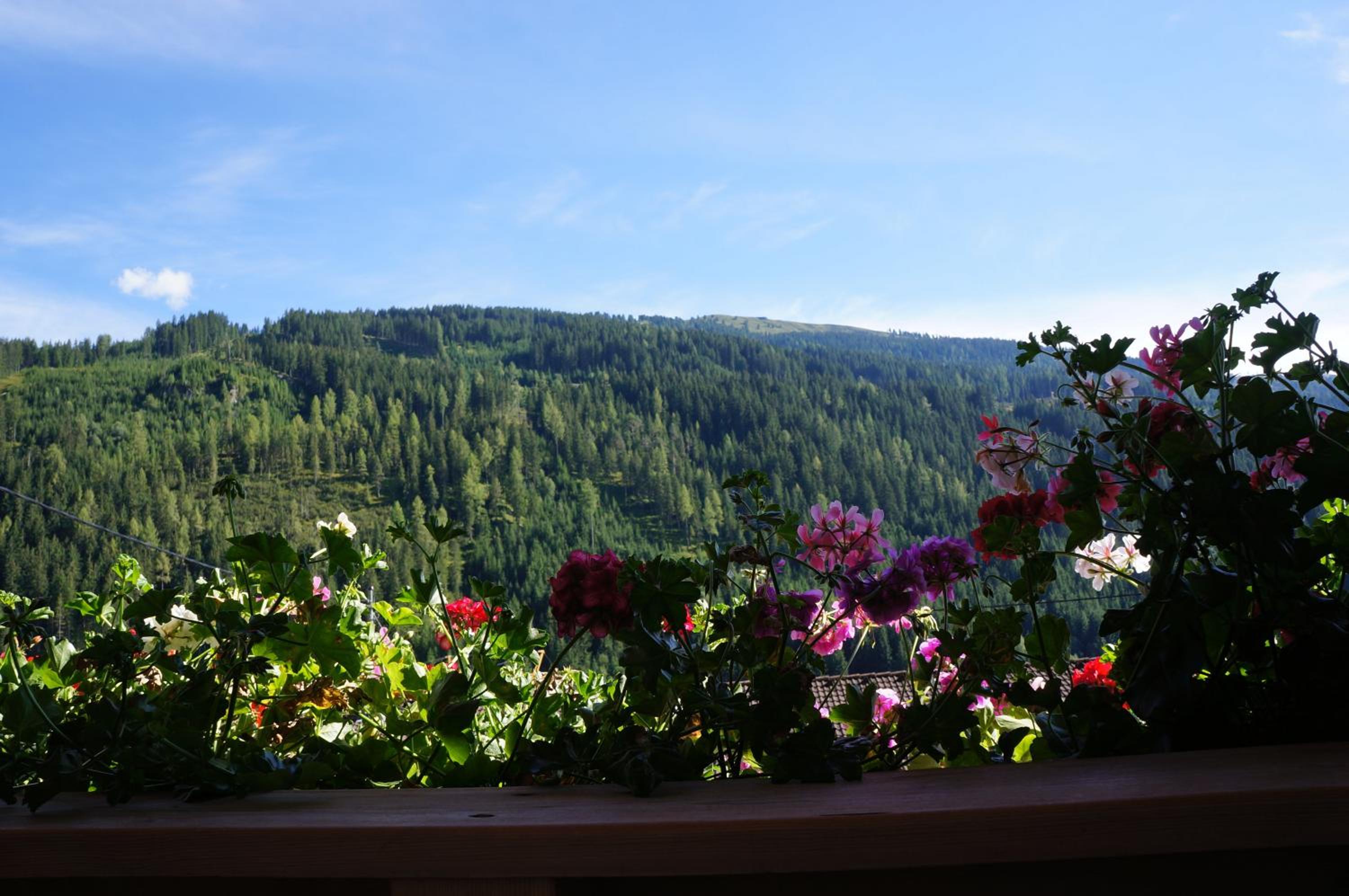 Haus Dorfblick